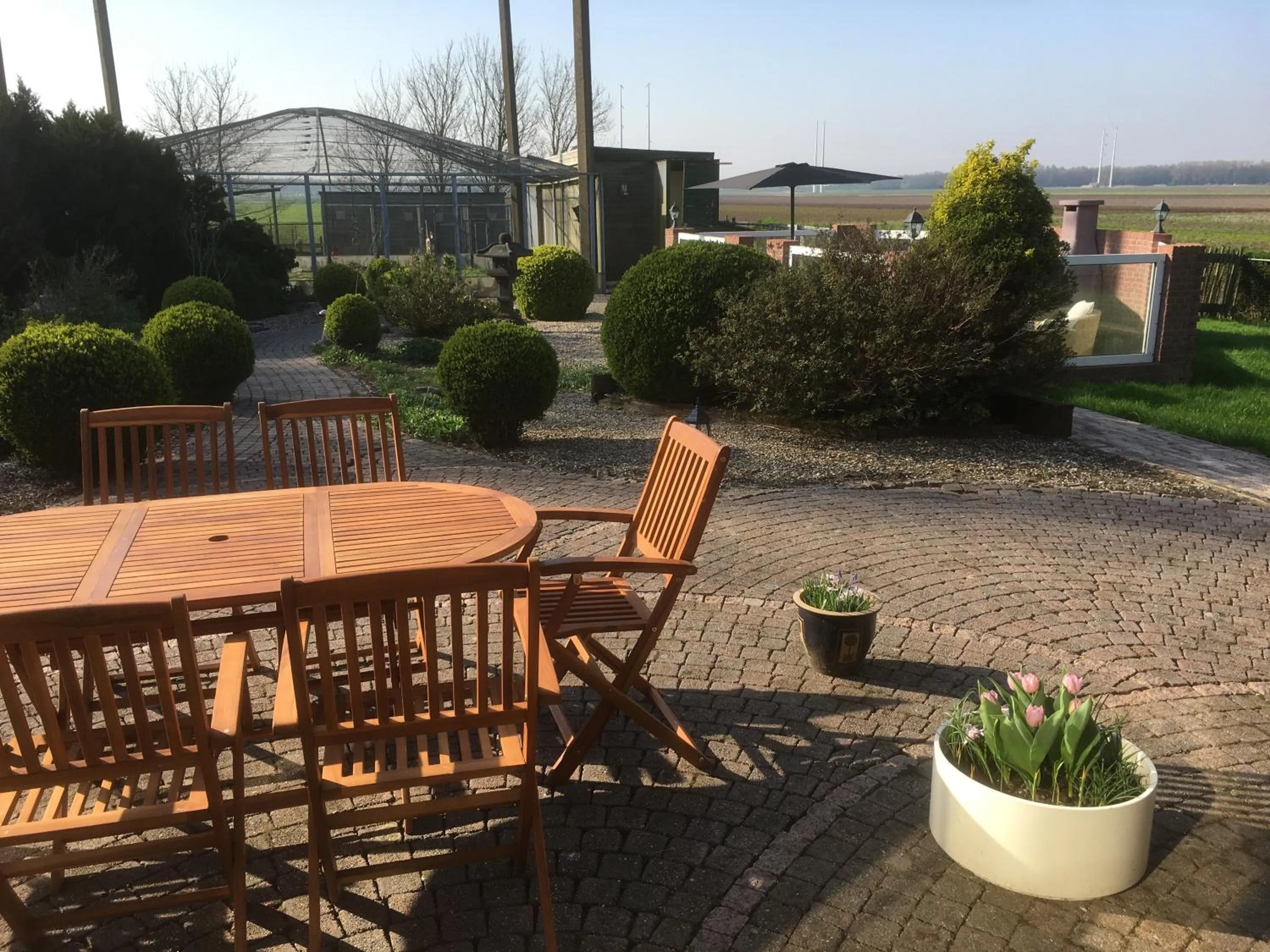 Garden in B&B De Kaagse Koe