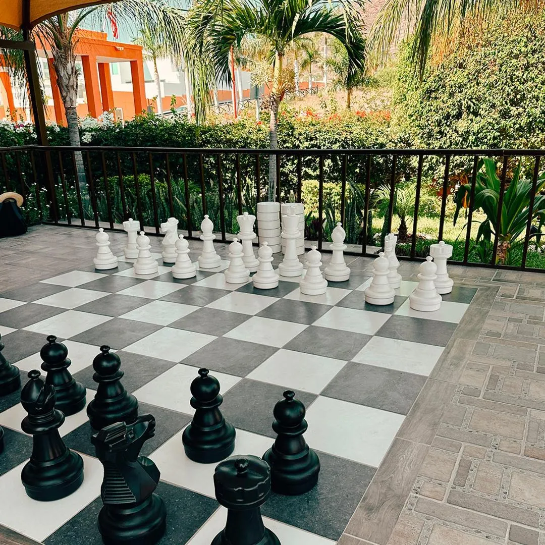 Activities in Sea of Cortez Beach Club