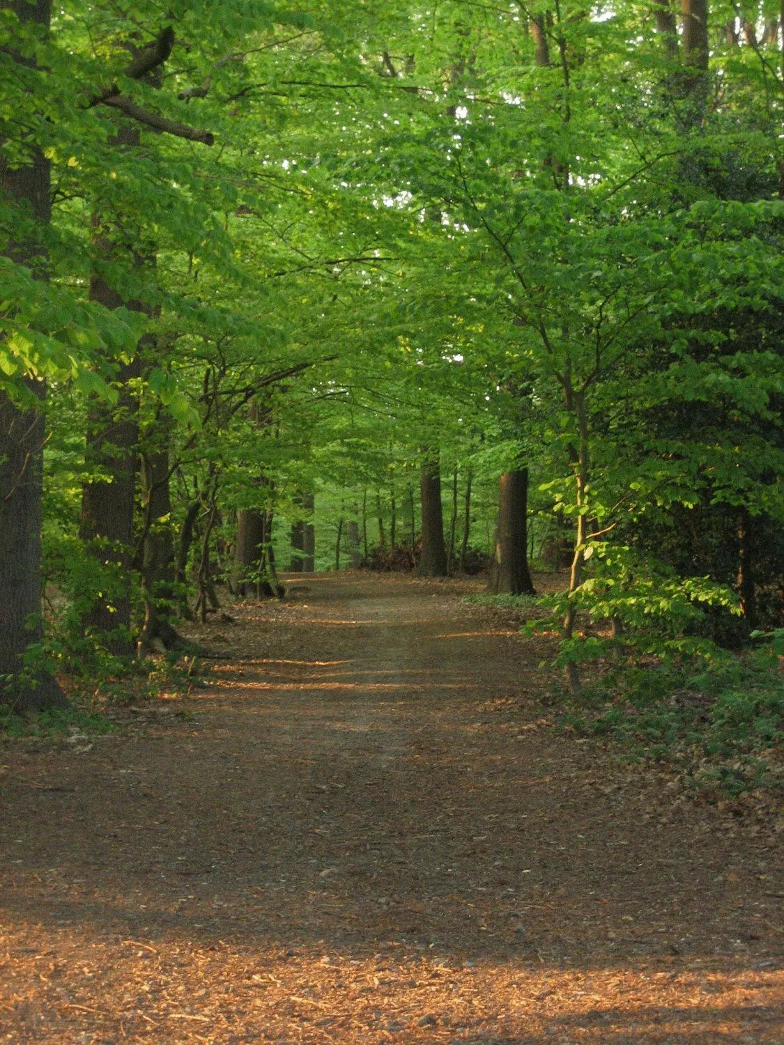 Natural landscape in Hotel Graf Balduin
