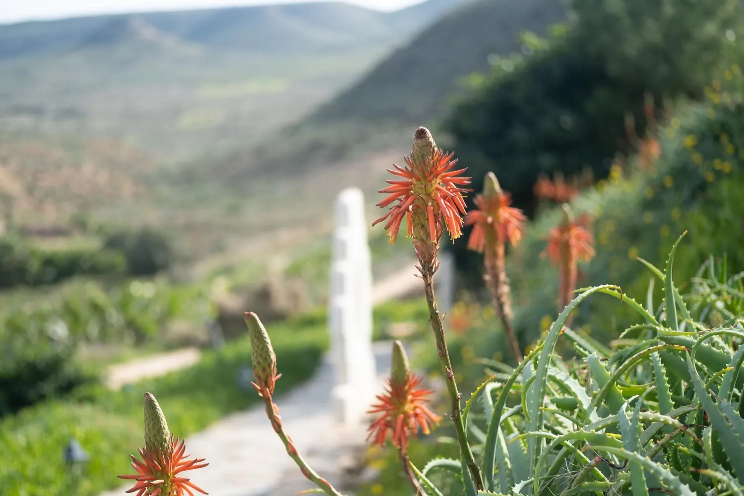 Natural landscape in La Almendra y El Gitano