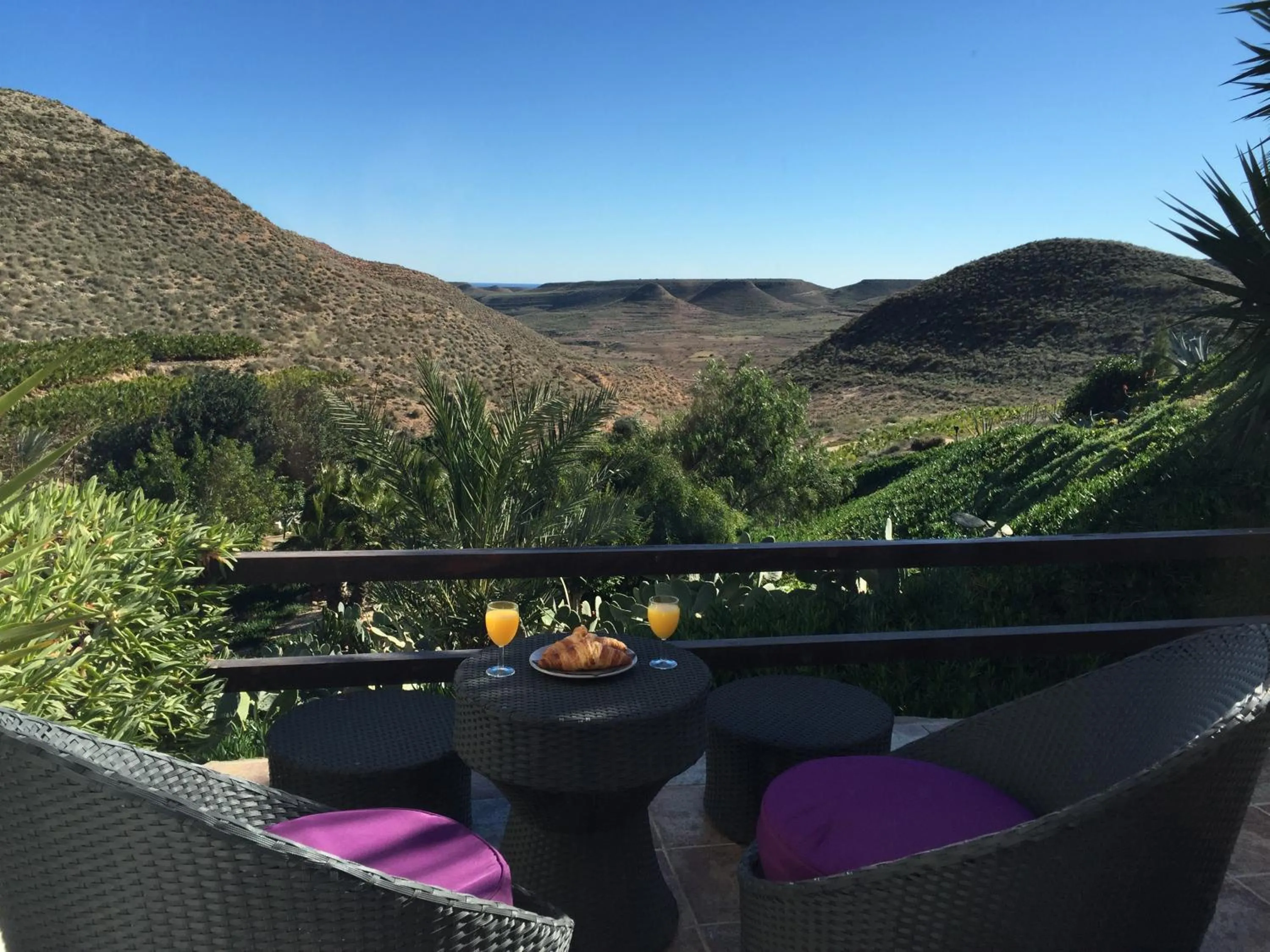 Garden view in La Almendra y El Gitano