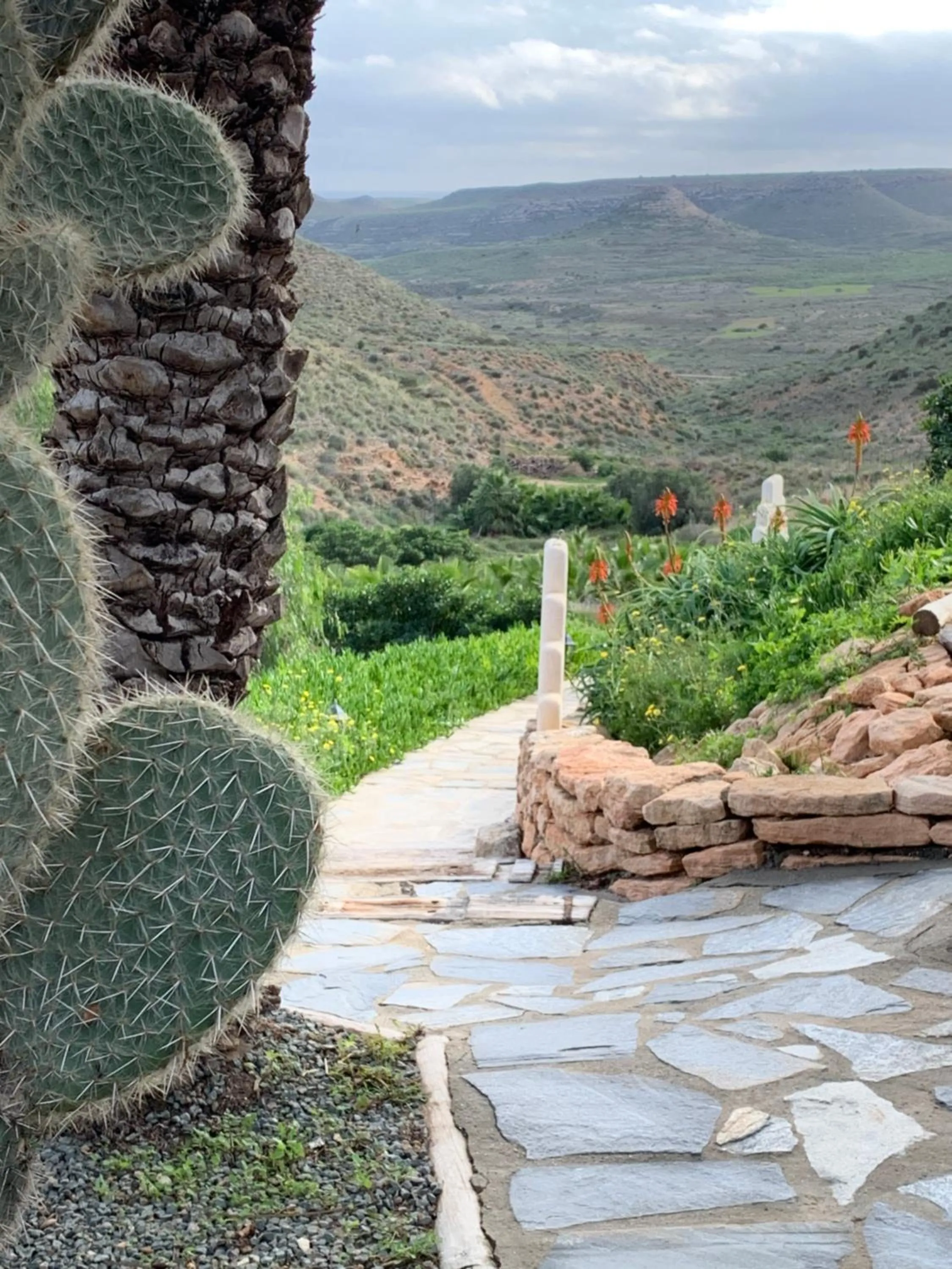 Garden in La Almendra y El Gitano