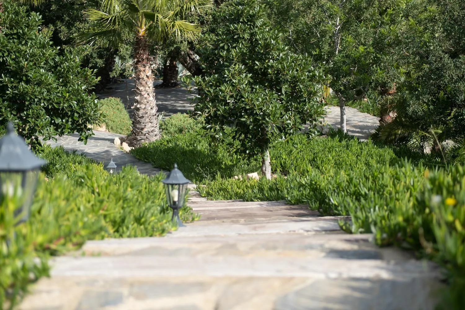 Off site in La Almendra y El Gitano