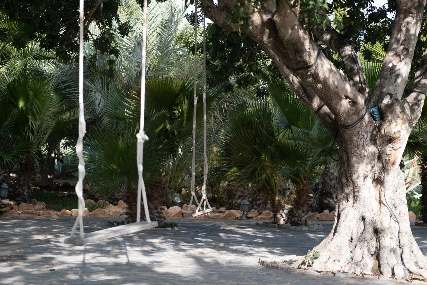 Off site in La Almendra y El Gitano