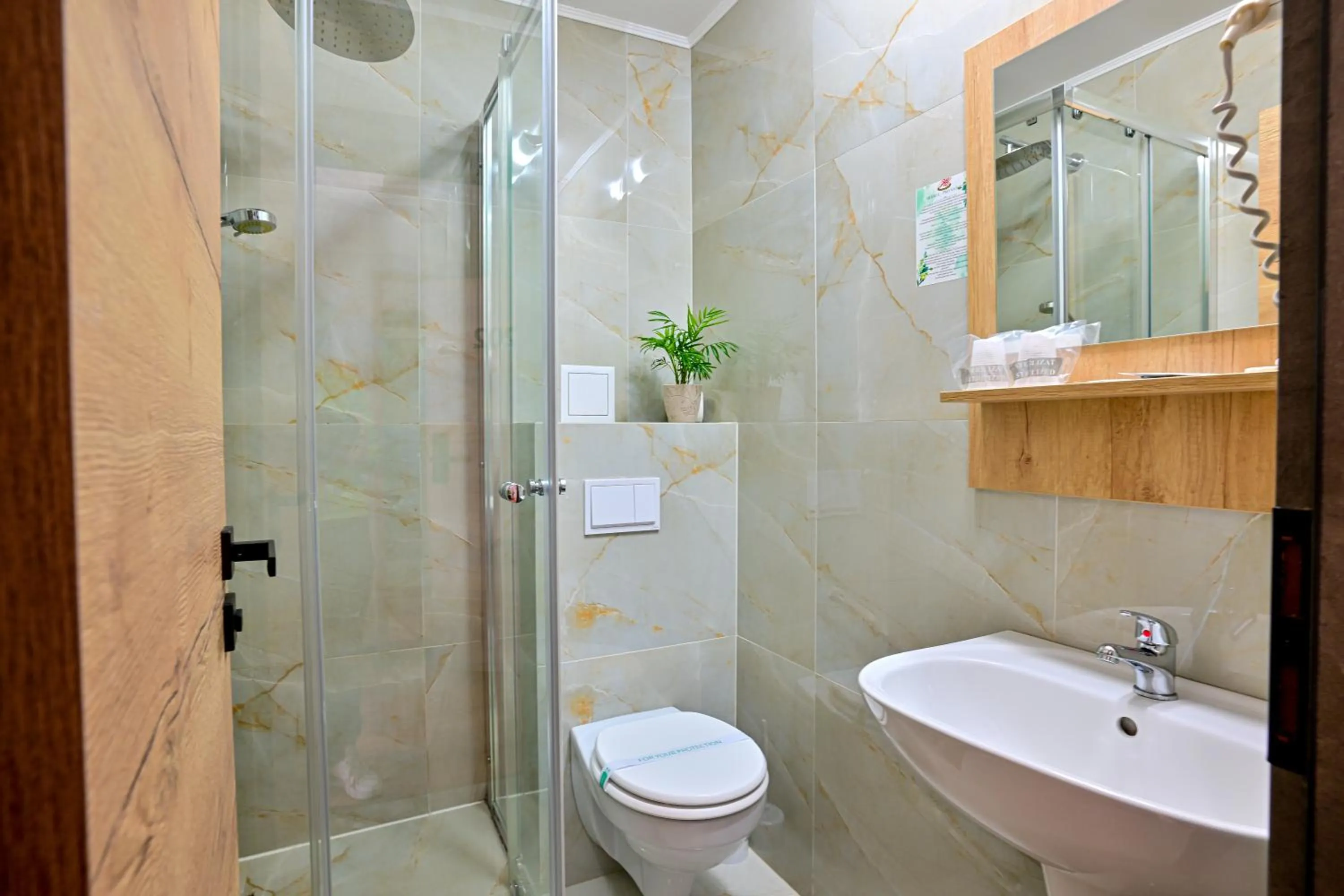 Shower in Hotel Class Hermannstadt