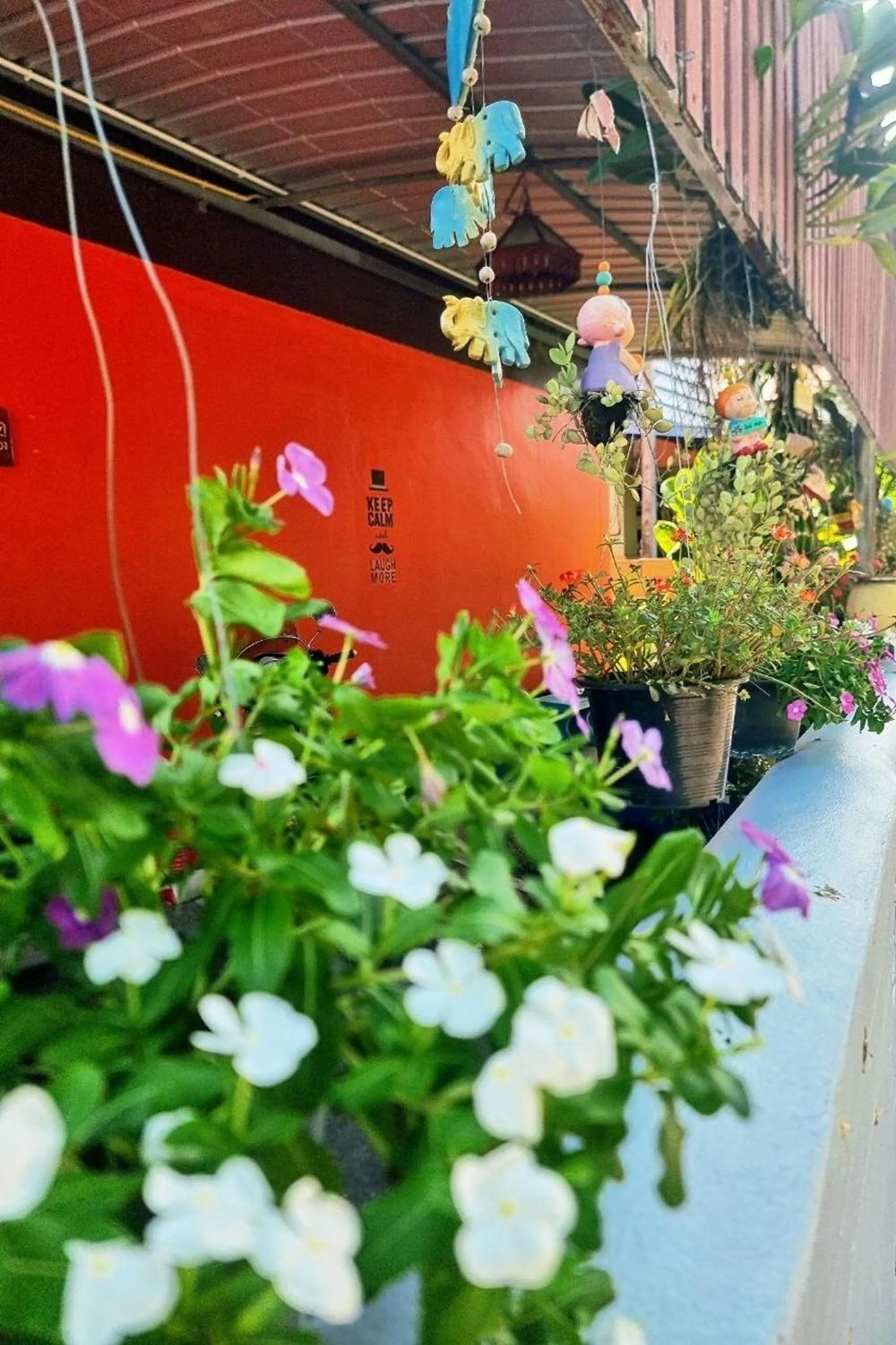 Garden in Chat House Chiang Rai