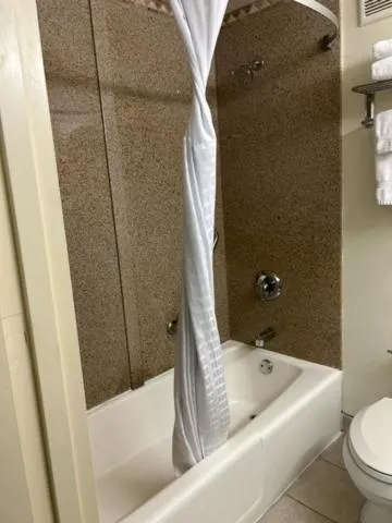 Shower in Ramada by Wyndham Newark/Wilmington