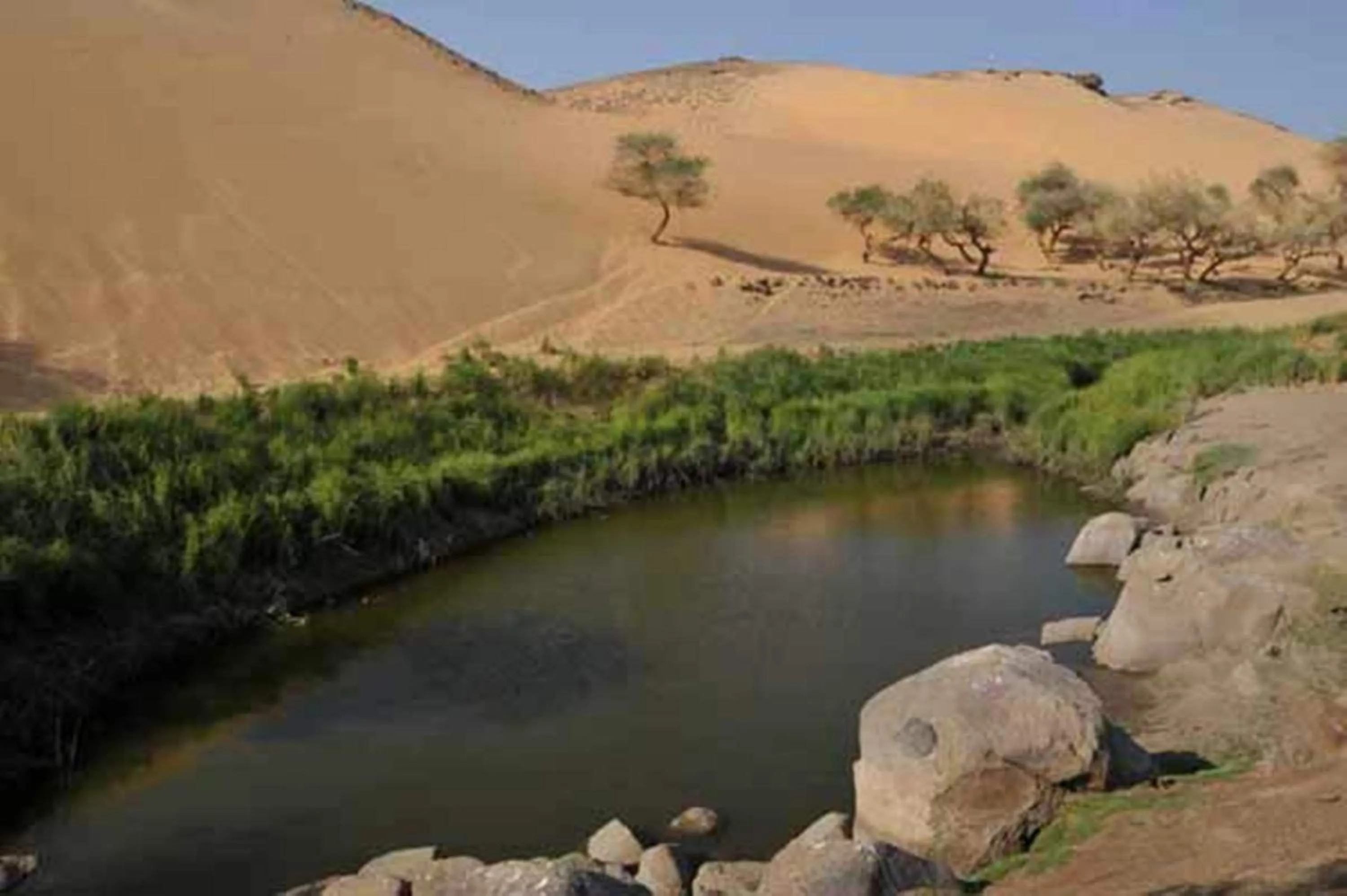 Beach in Anakato Nubian Experience