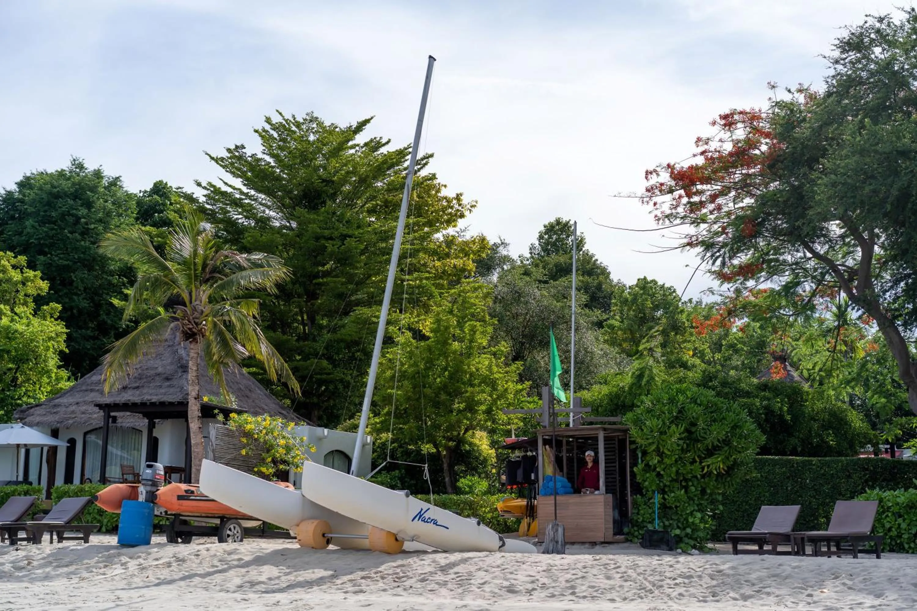 Activities in Paradee