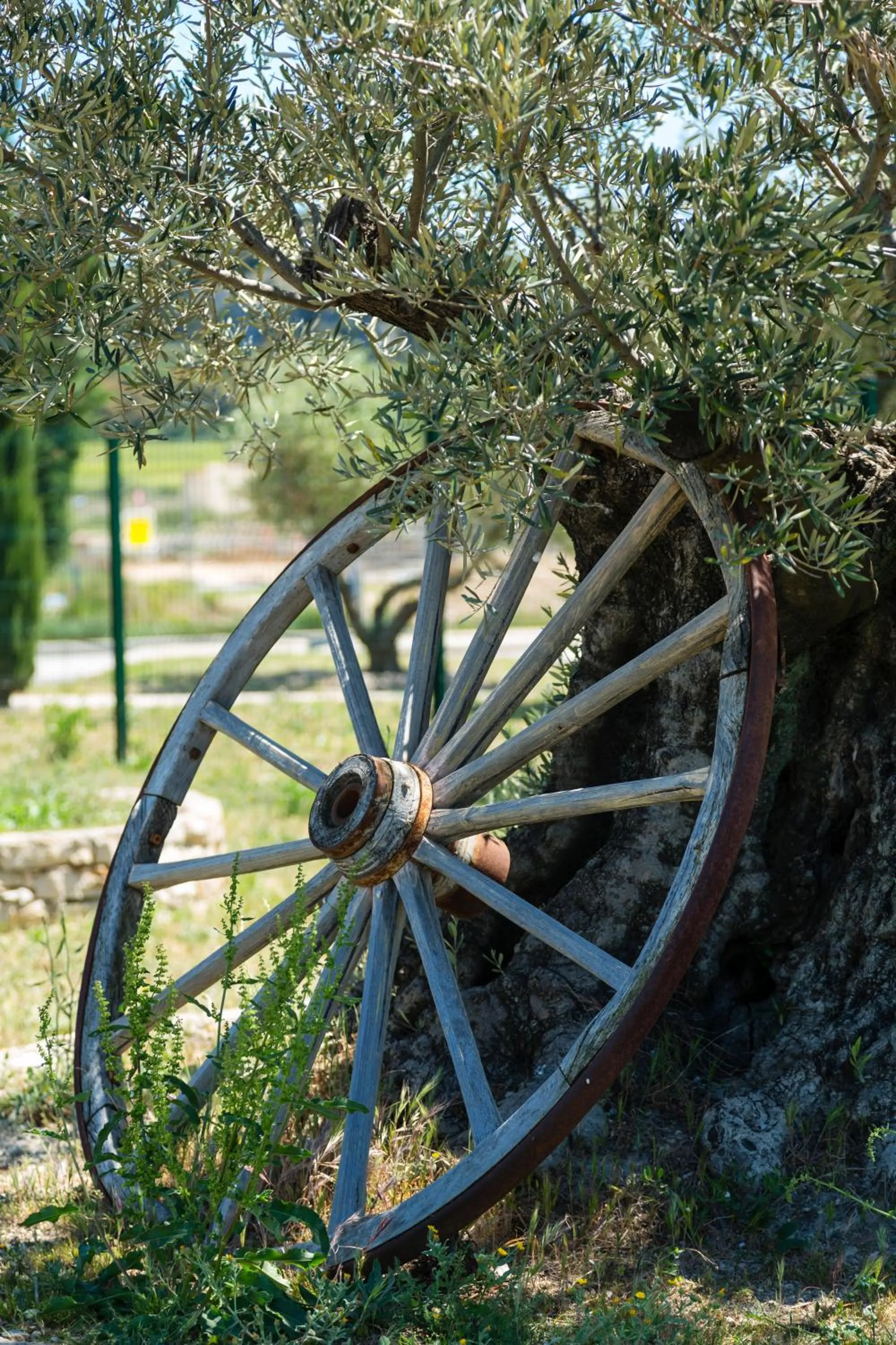 Area and facilities in Le Ya'Tis