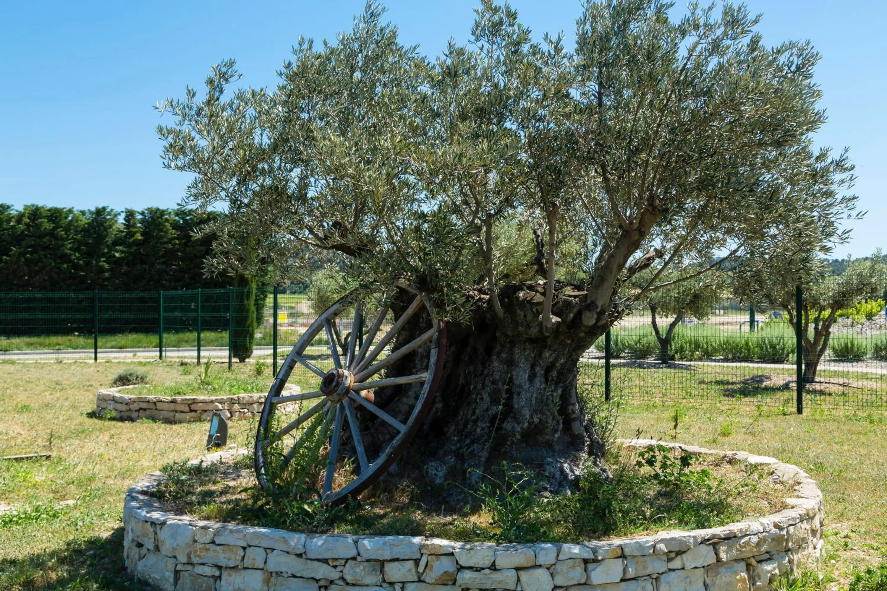 Area and facilities in Le Ya'Tis