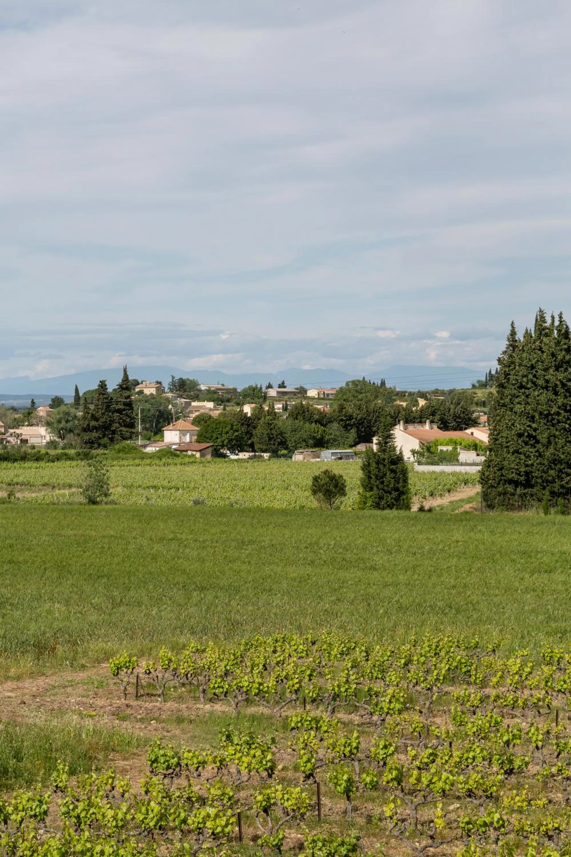 Area and facilities in Le Ya'Tis