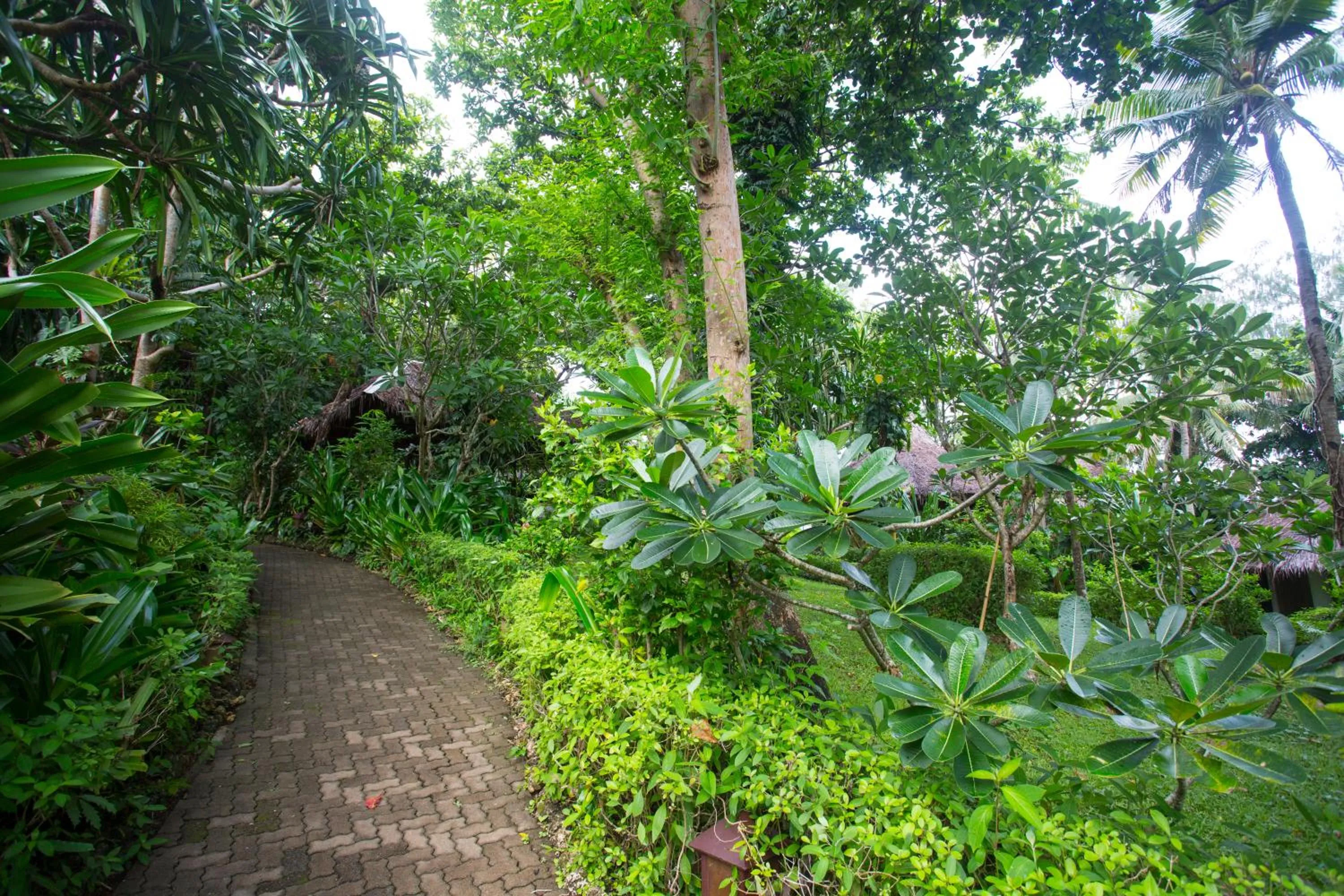 View (from property/room) in Mandala Spa & Resort Villas