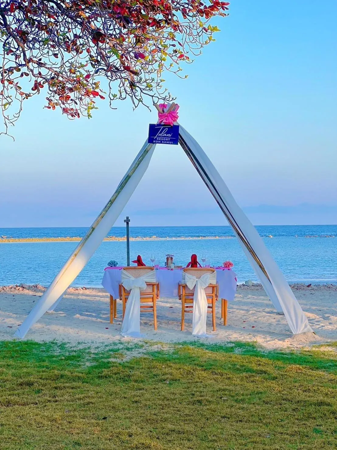 Food and drinks in Tolani Resort Koh Samui