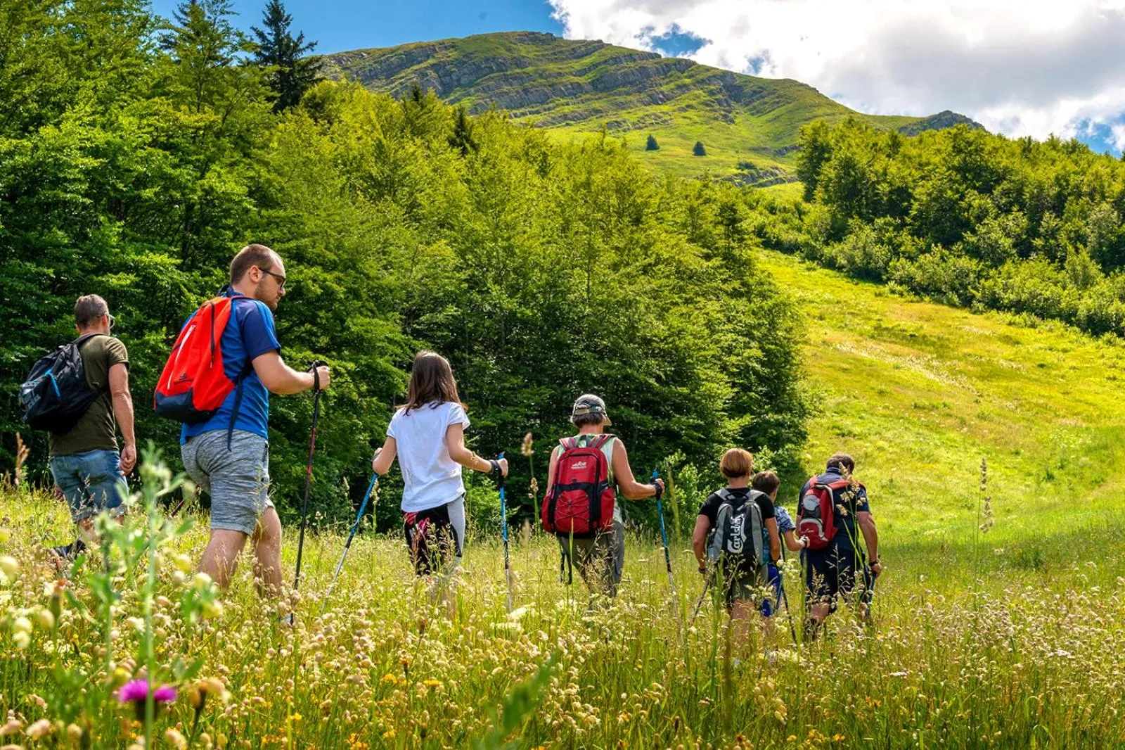 Natural landscape in Val di Luce SPA Resort