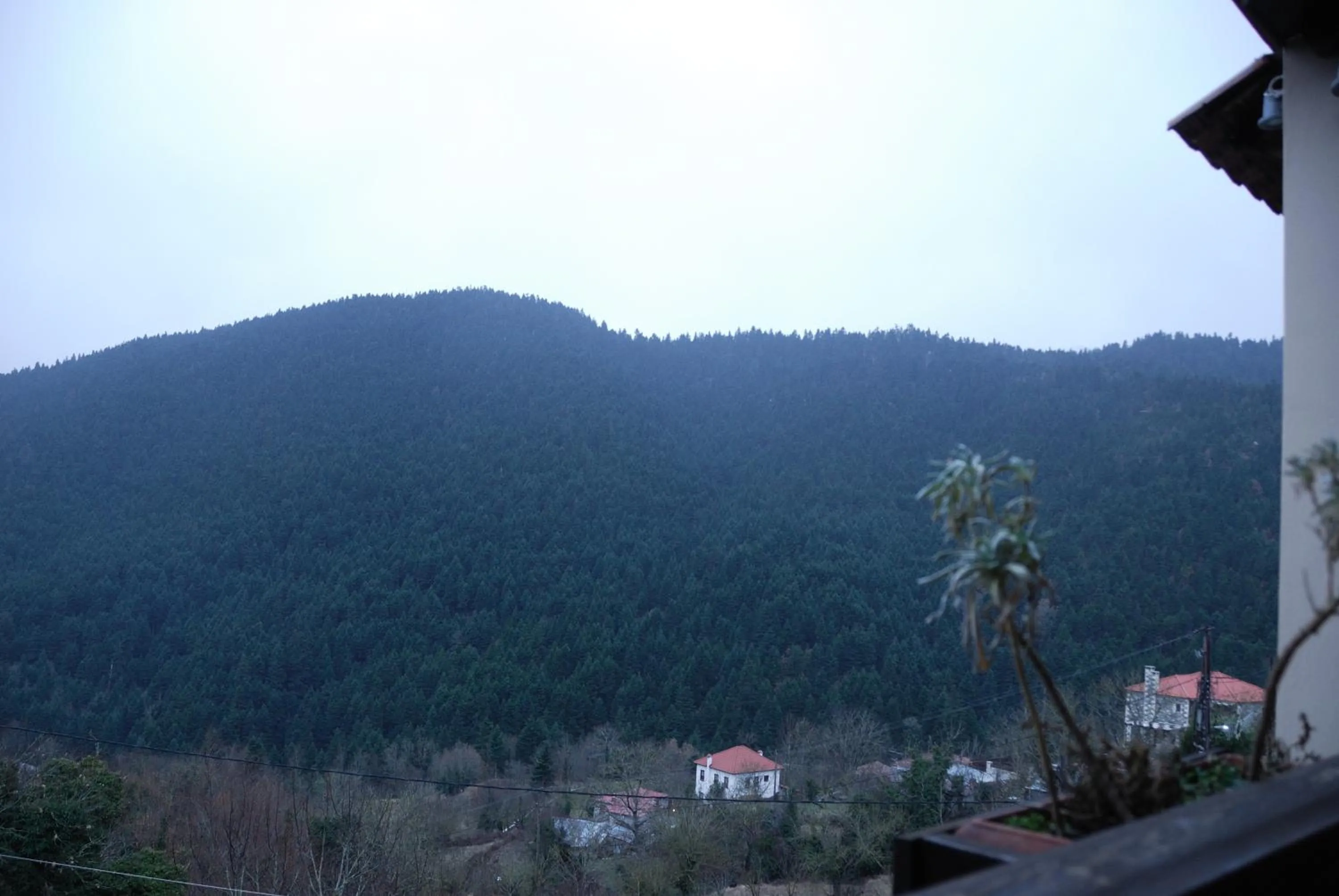 View (from property/room) in Villa Virginia Hotel