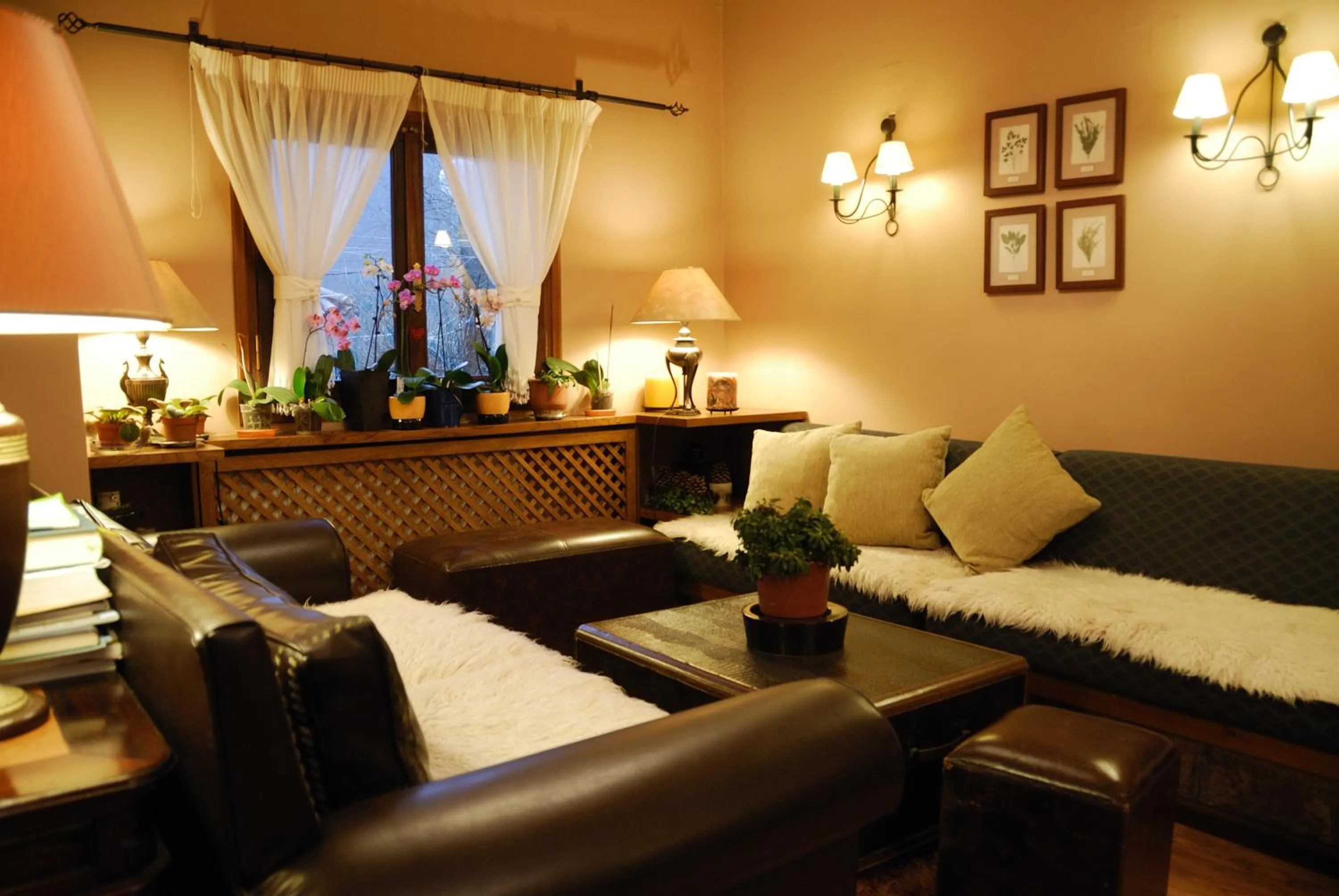 Lounge or bar in Villa Virginia Hotel