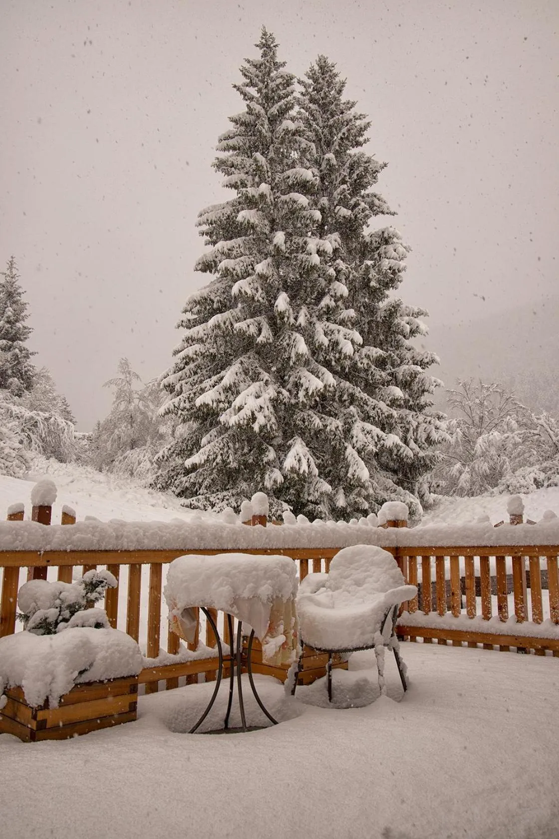 Agriturismo Ai Castioni