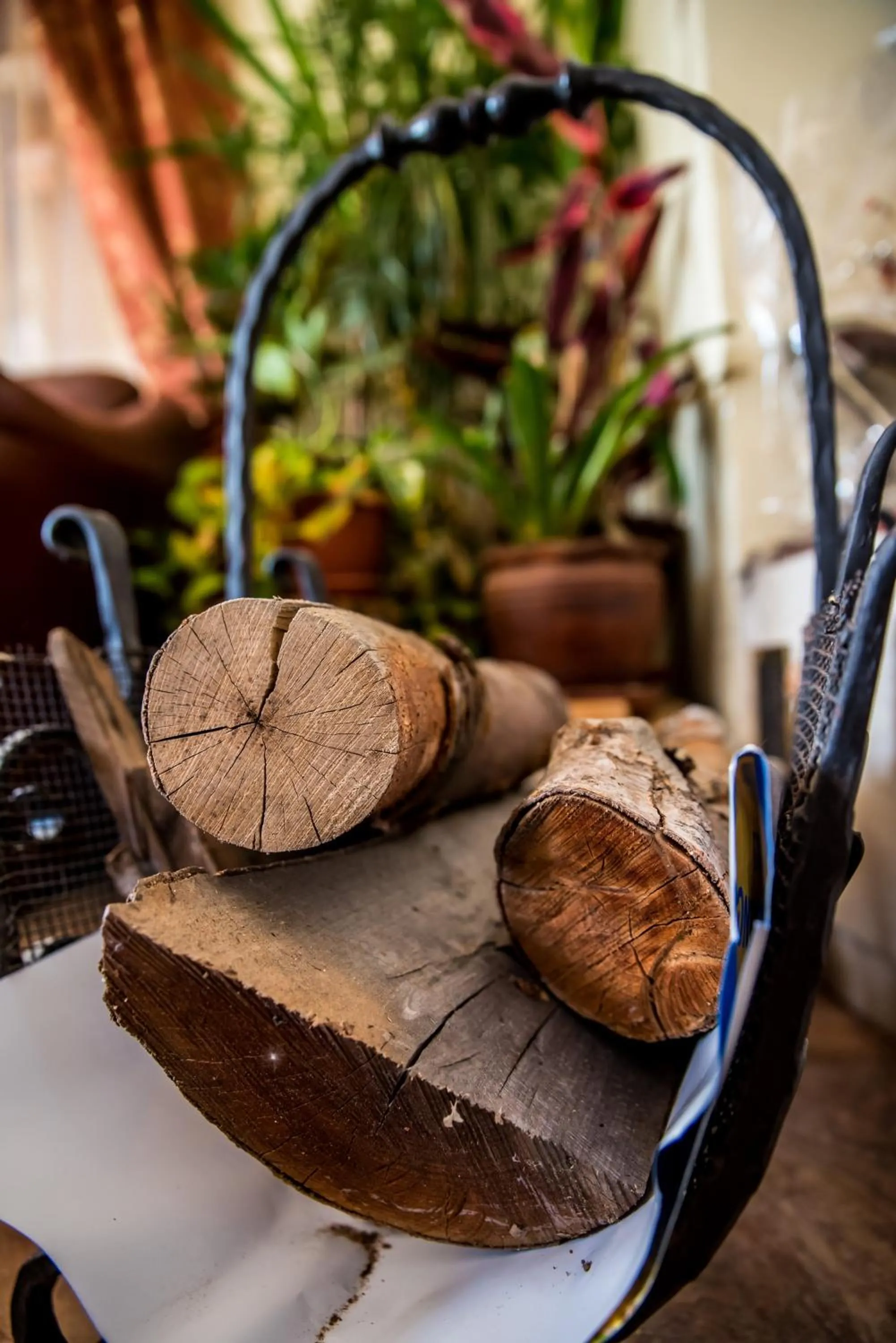 Decorative detail in Bariakov Family Hotel