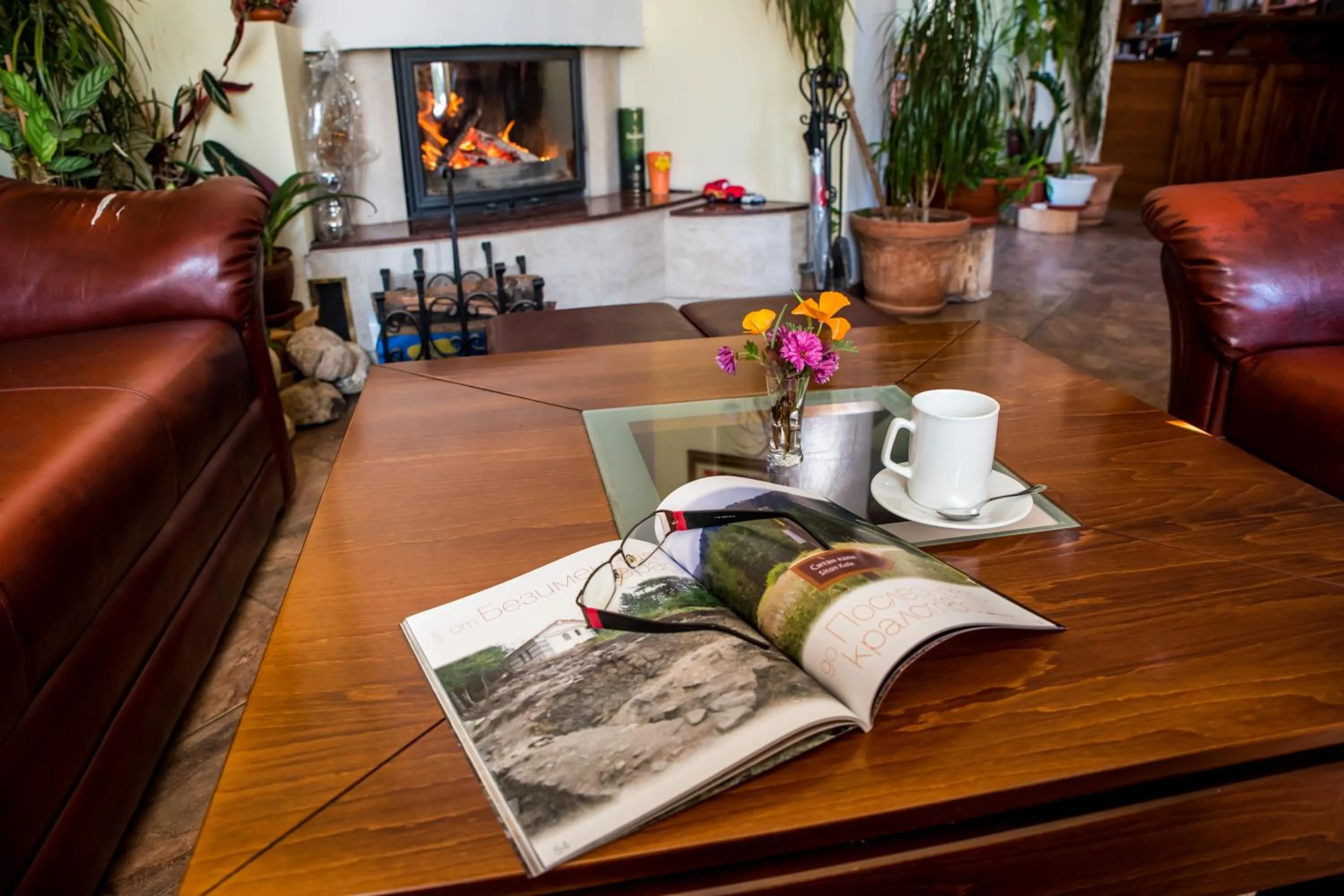 Lobby or reception in Bariakov Family Hotel