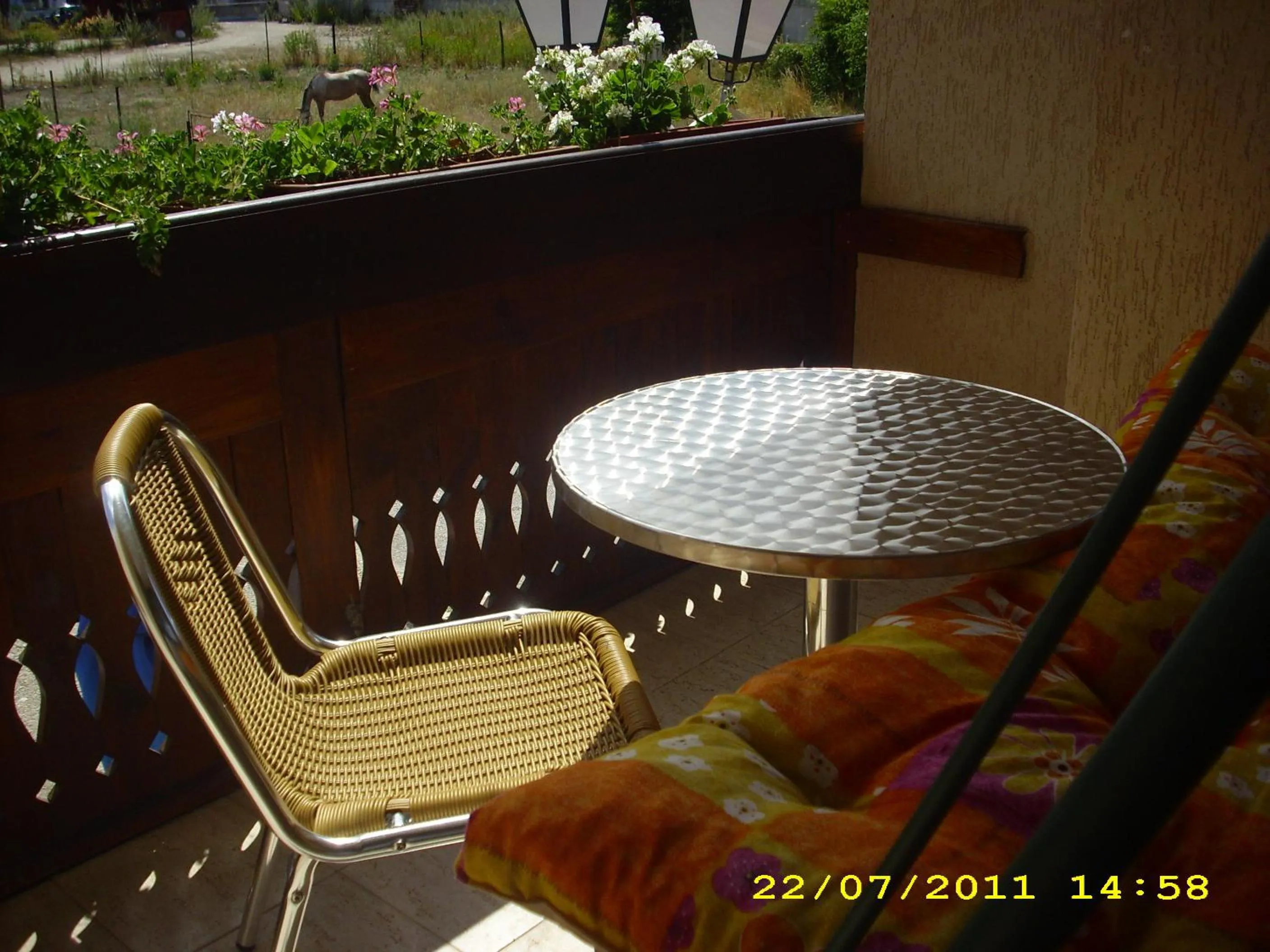 Balcony/Terrace in Bariakov Family Hotel