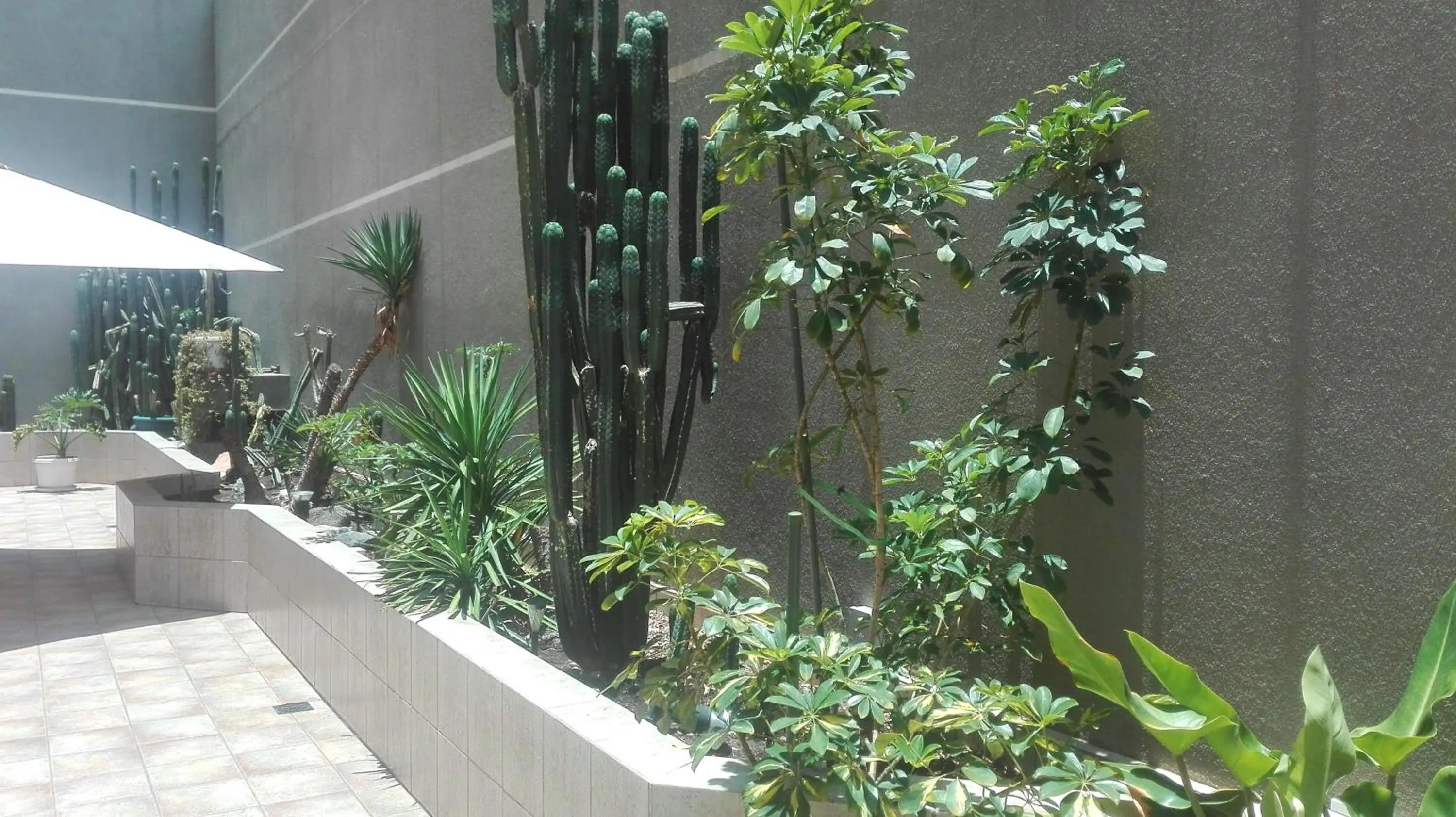 Patio in Hotel Diego De Almagro Costanera - Antofagasta