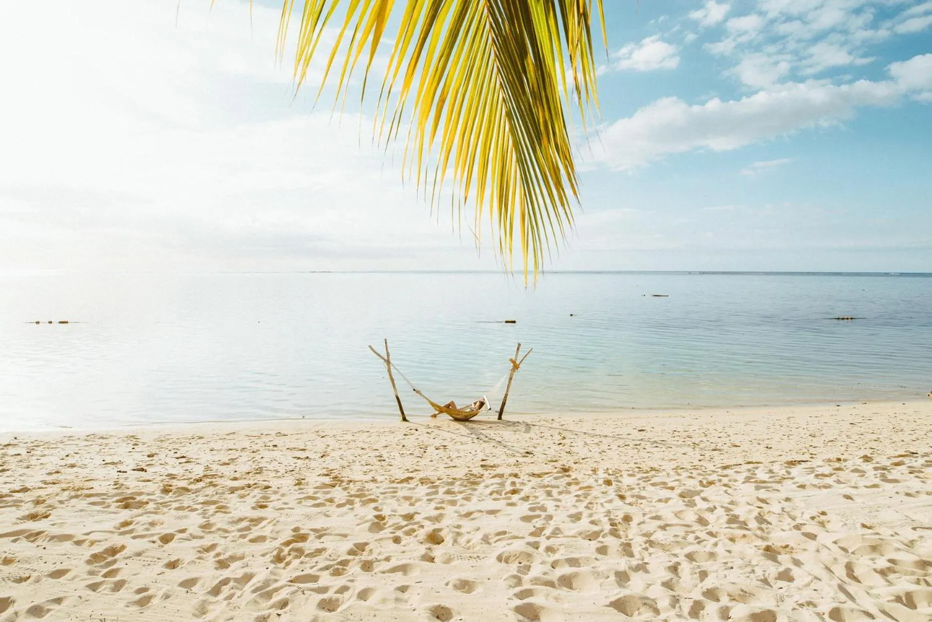 Natural landscape in LUX* Le Morne Resort