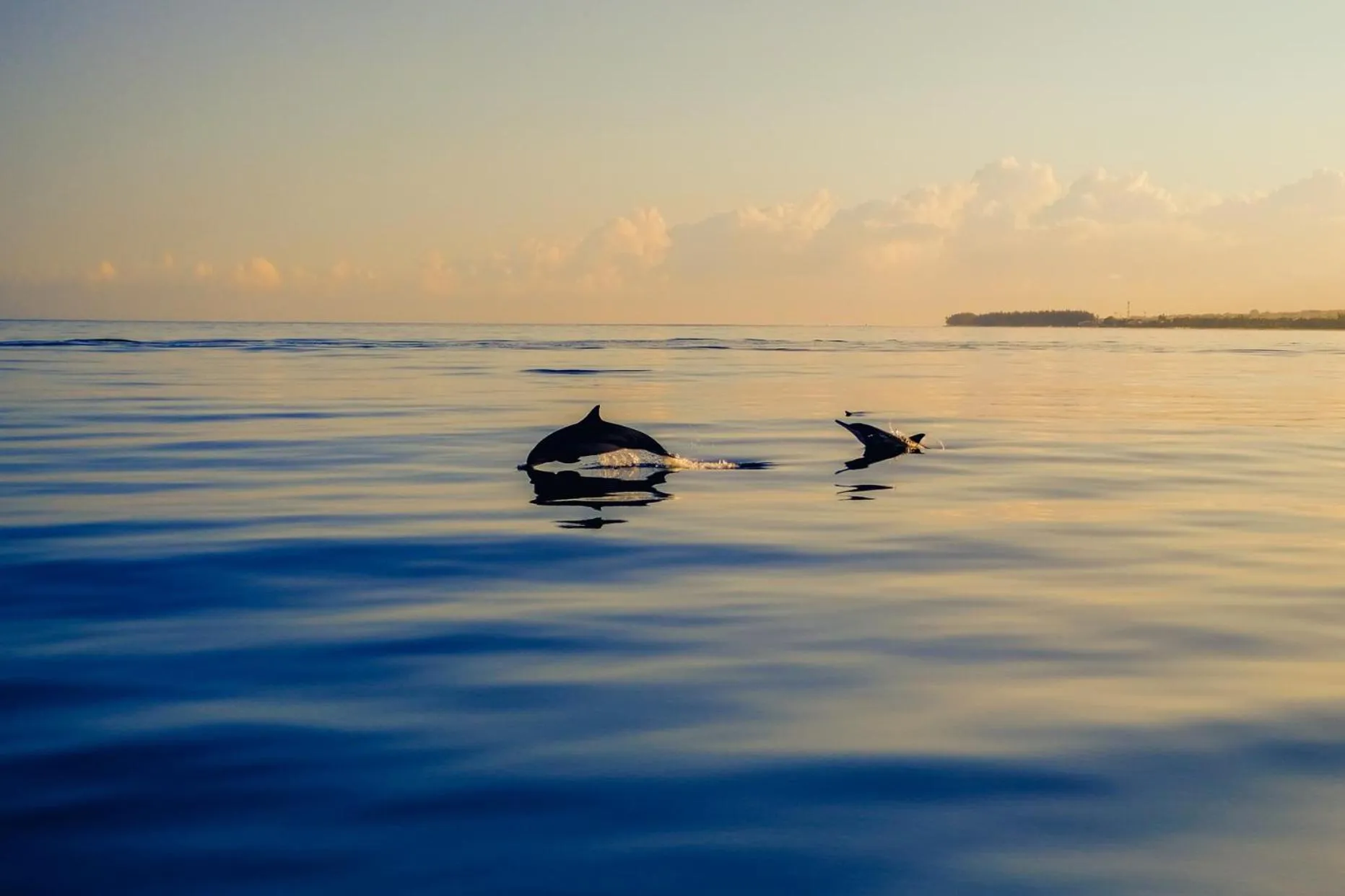 Nearby landmark in LUX* Le Morne Resort