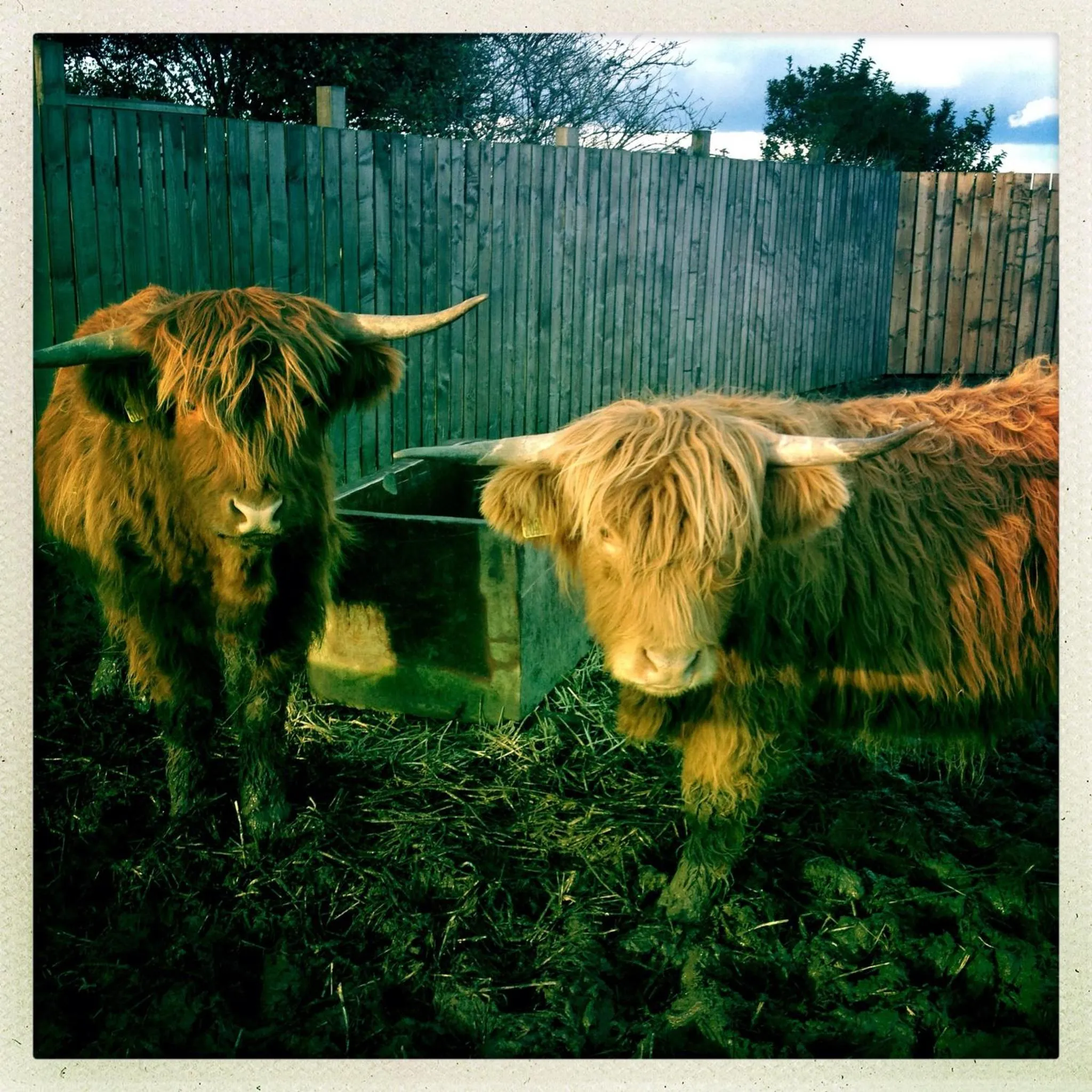 The Stables at the Vale
