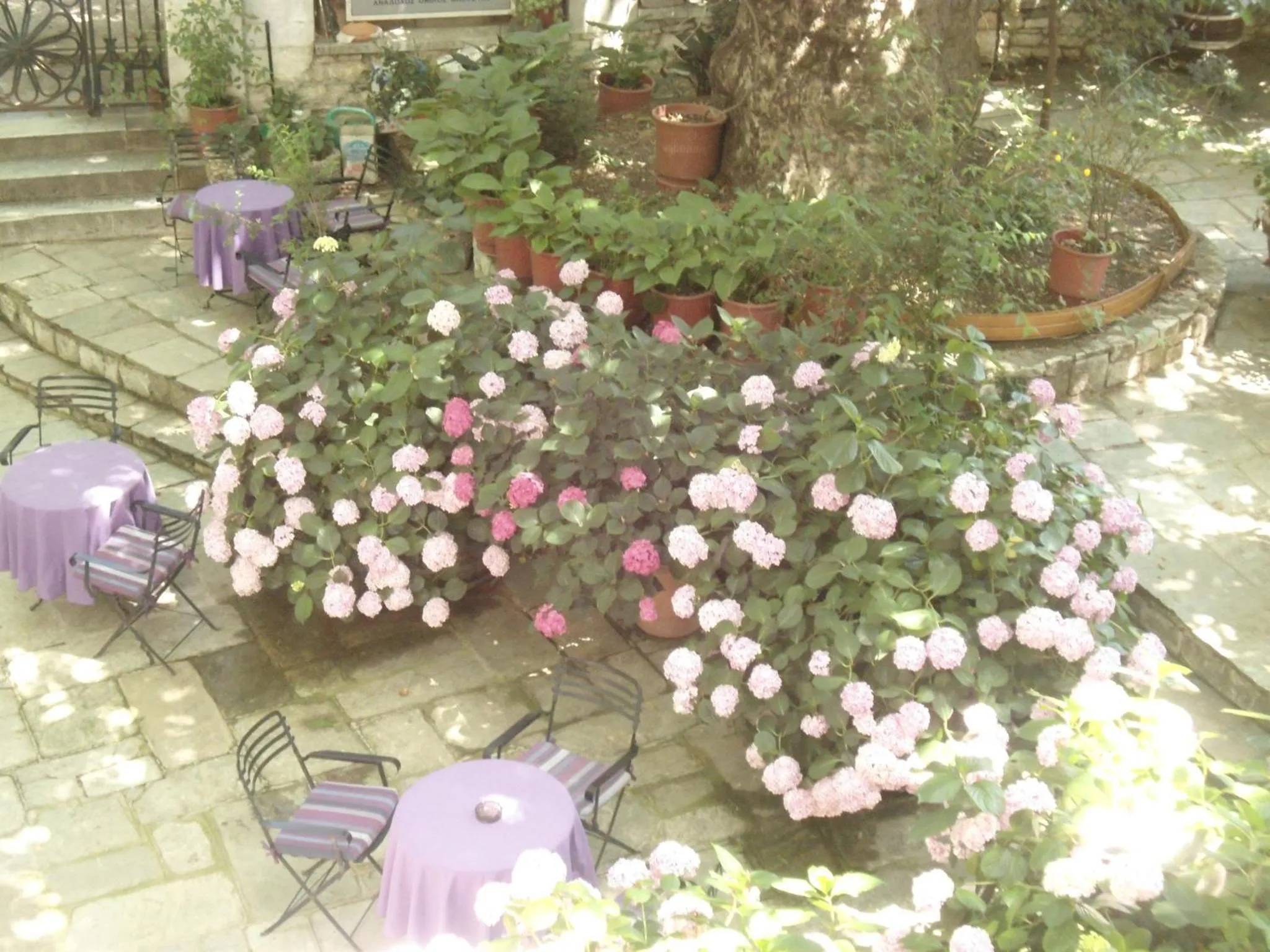 Natural landscape in Hotel Filoxenia