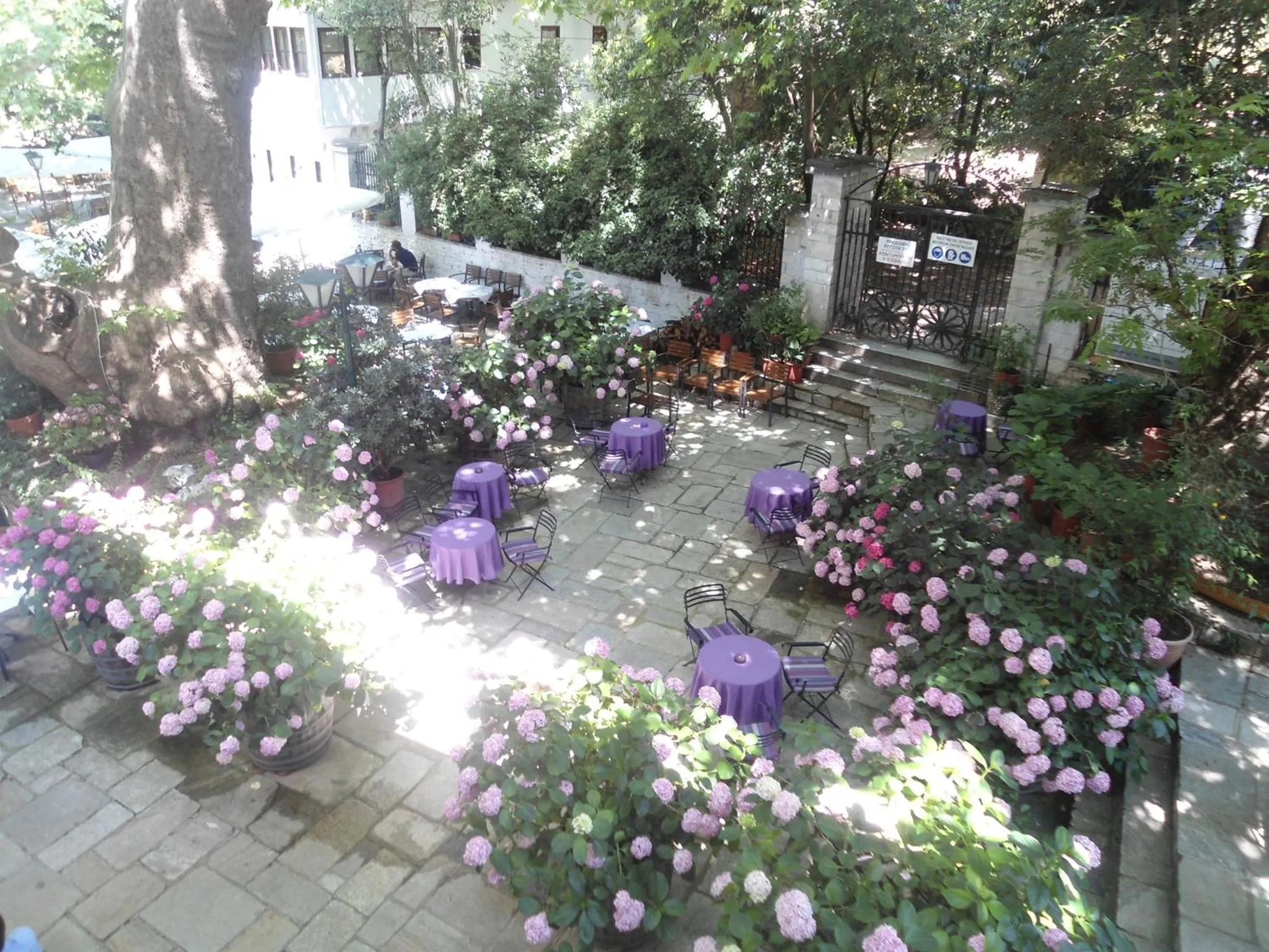 Garden in Hotel Filoxenia
