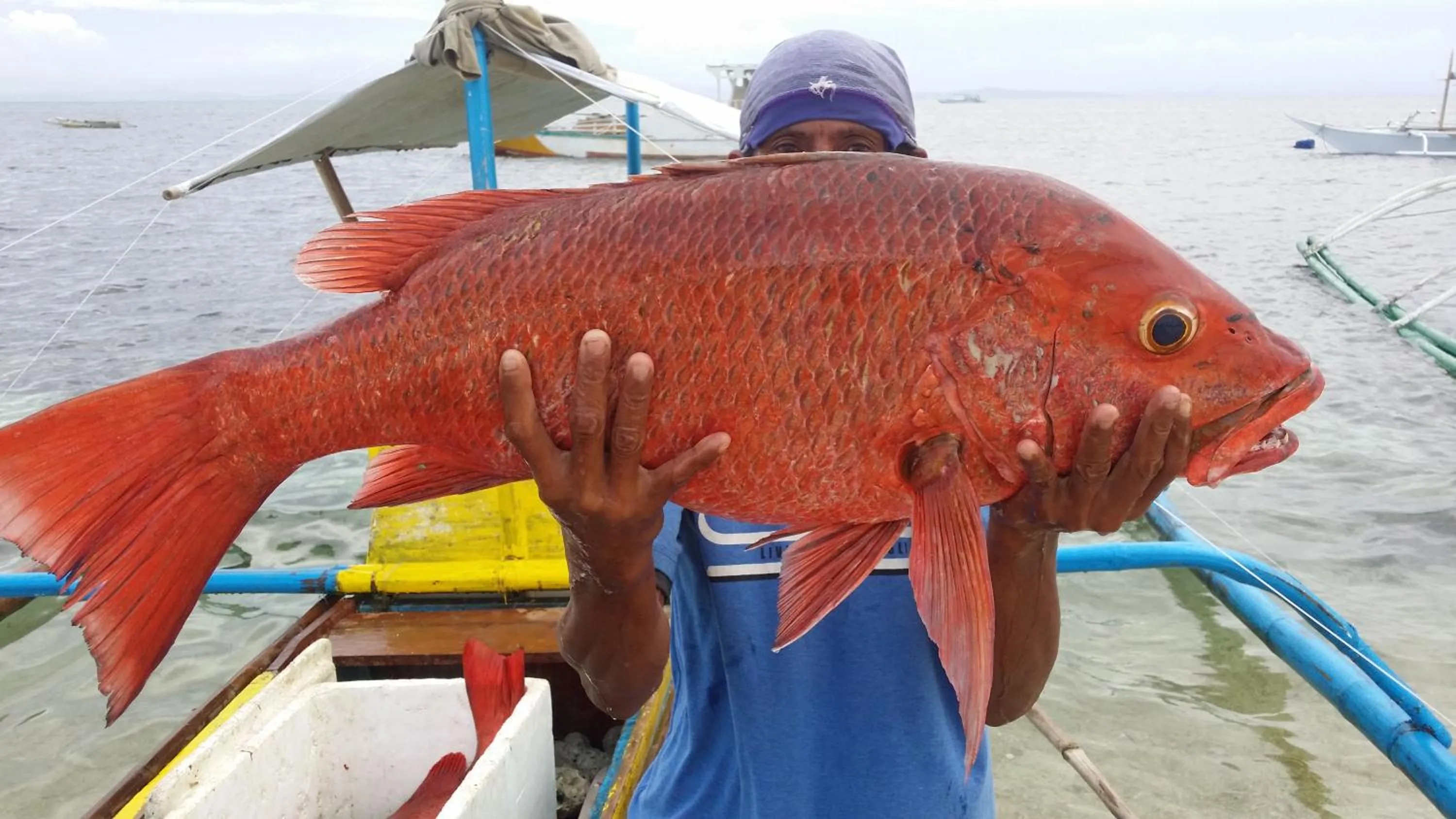 AABANA Beach & Watersport Resort