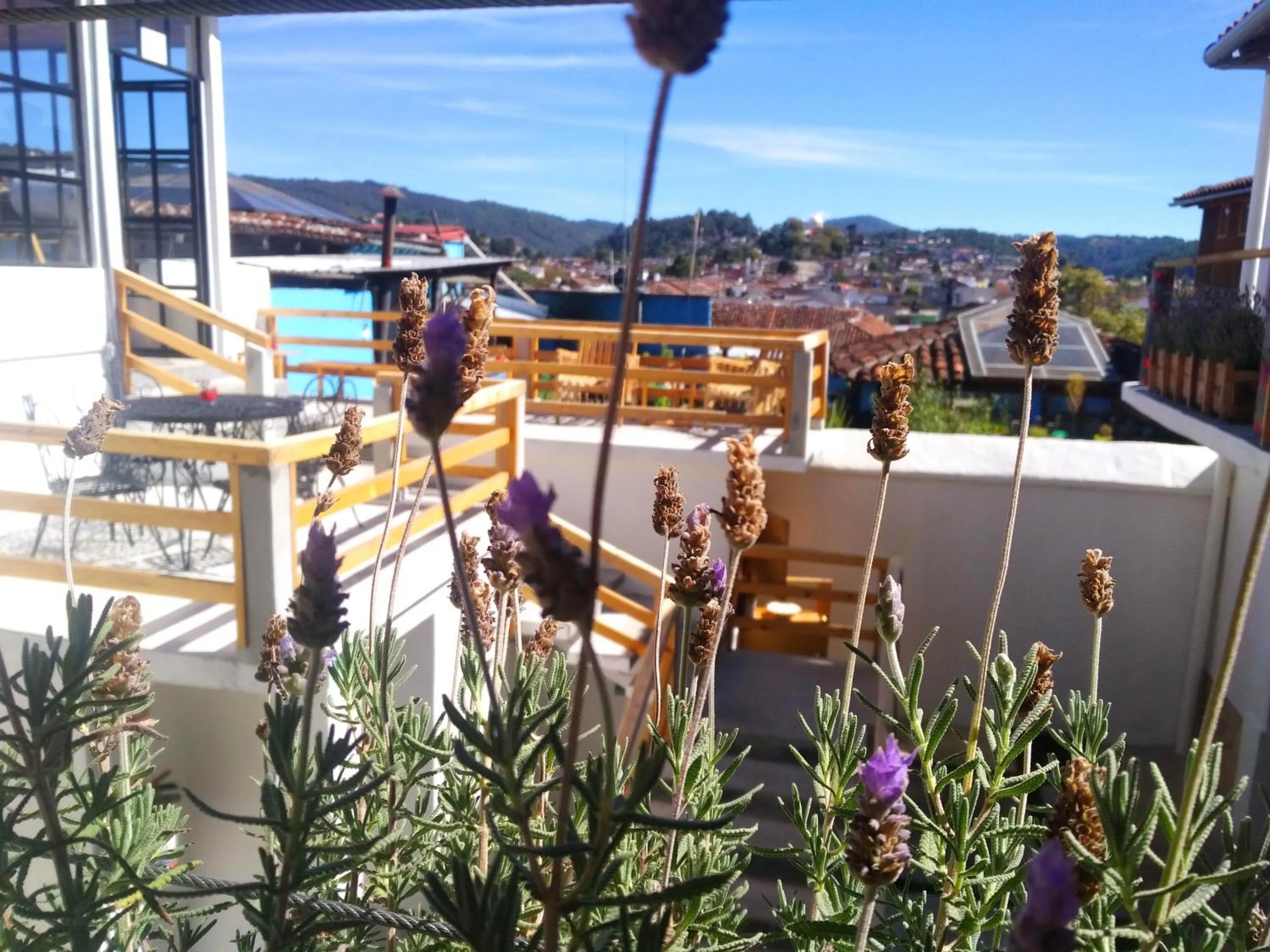 Property building in La Tozi Hotel