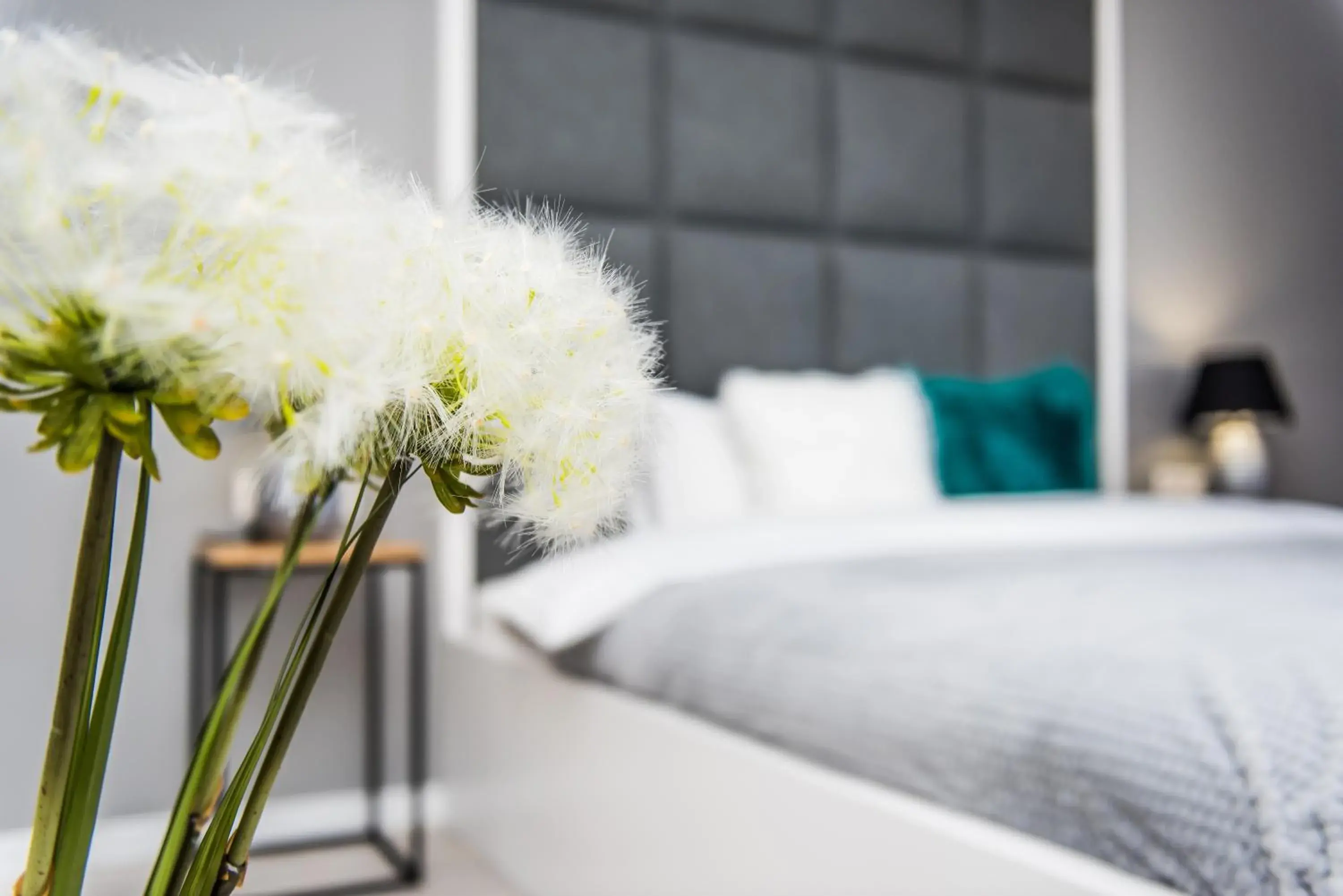Superior Apartment - single occupancy - 120/2 in Bed&Bath Luxury Apartments Superior Apartment - single occupancy - 120/2 in Bed&Bath Luxury Apartments
