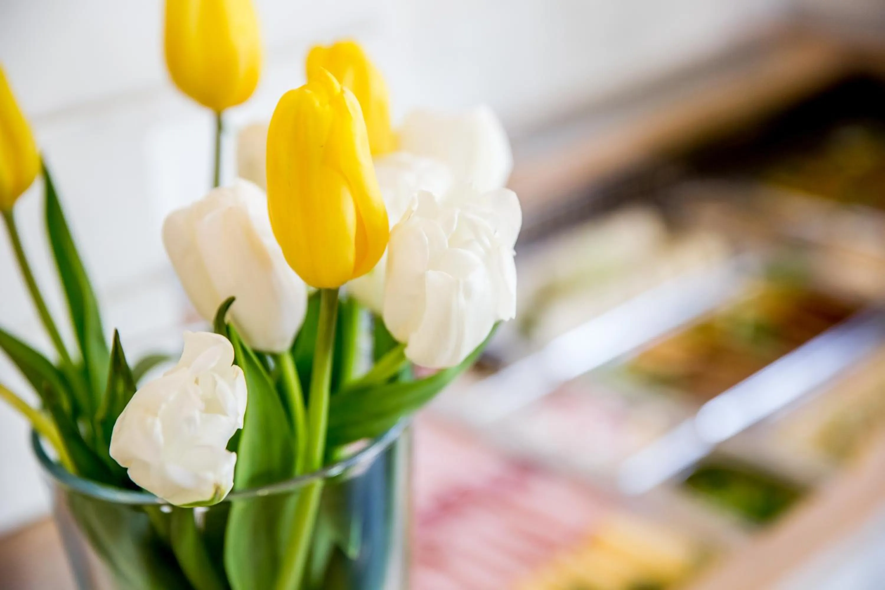 Restaurant/places to eat in Hotel Walewscy