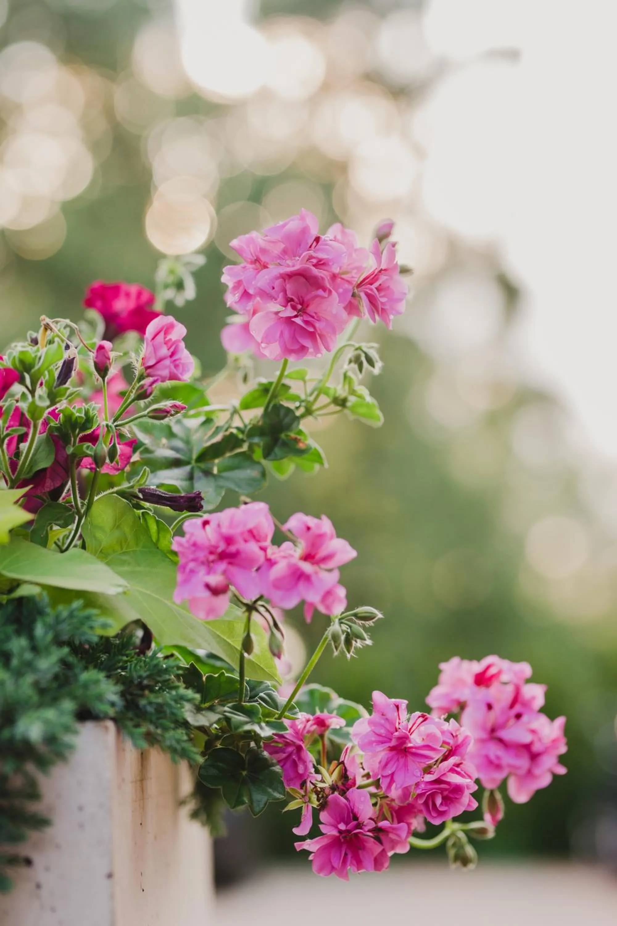 Decorative detail in Hotel Walewscy