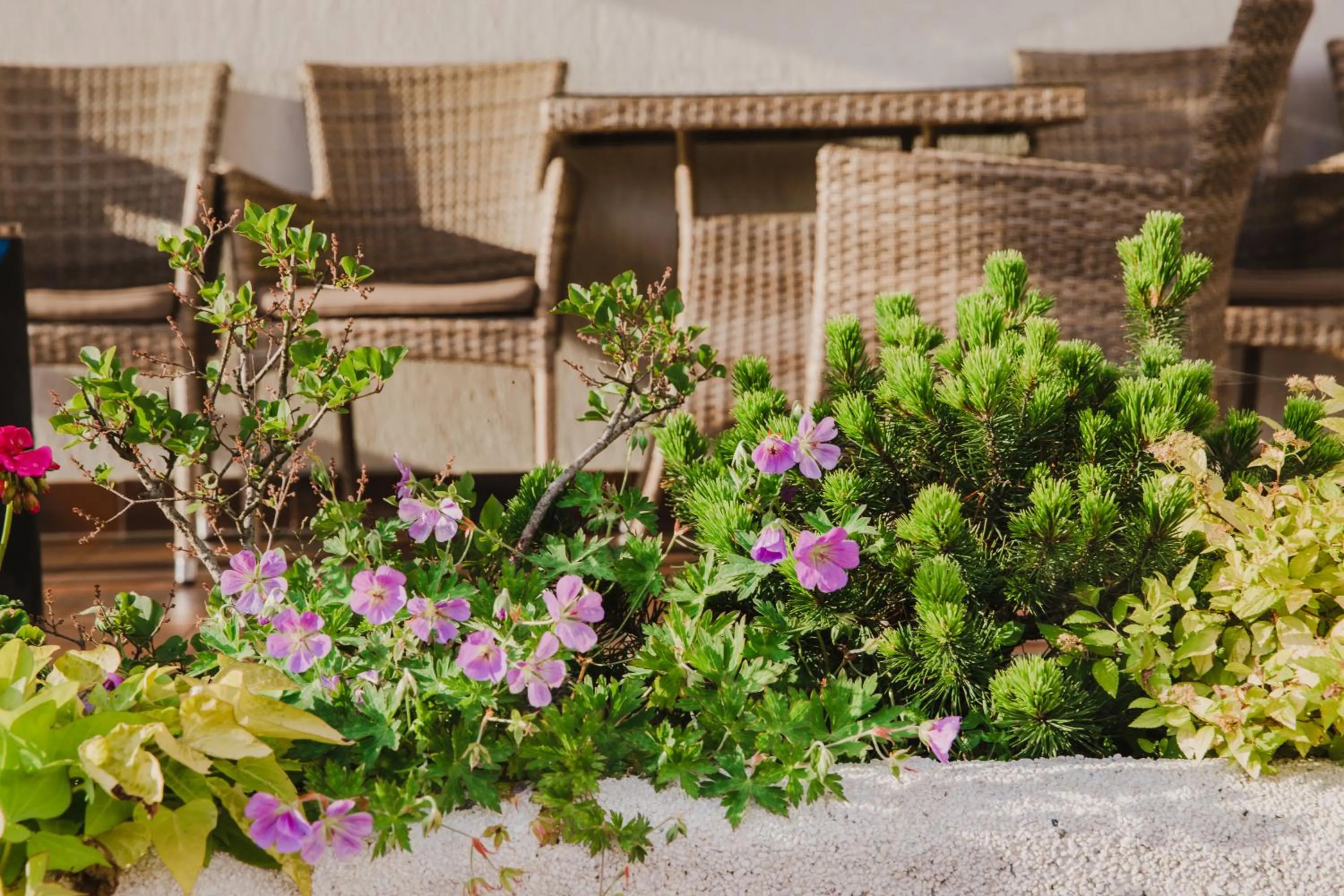 Facade/entrance in Dworek Pani Walewska