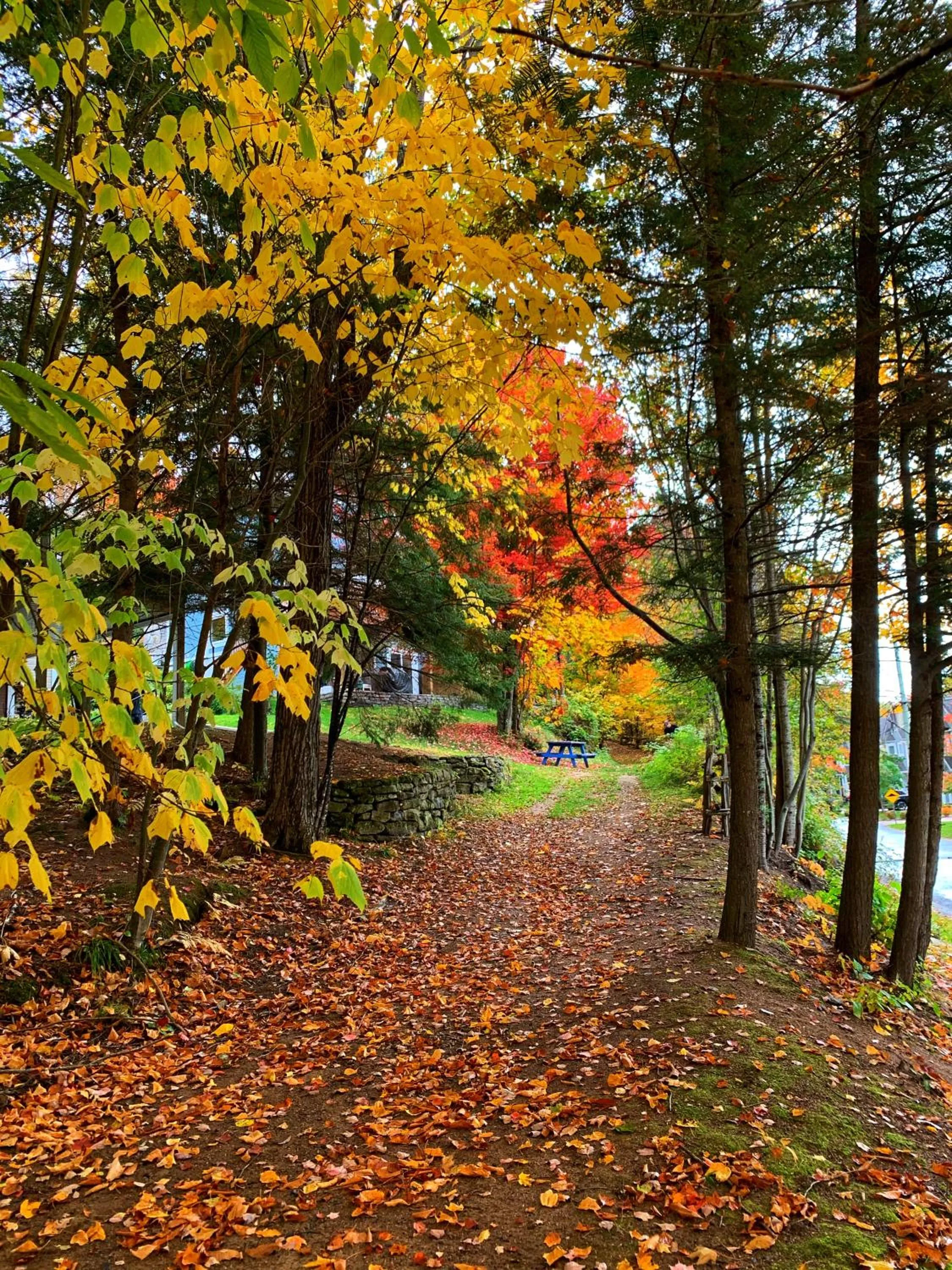 Auberge Le Lupin-Self Check-in