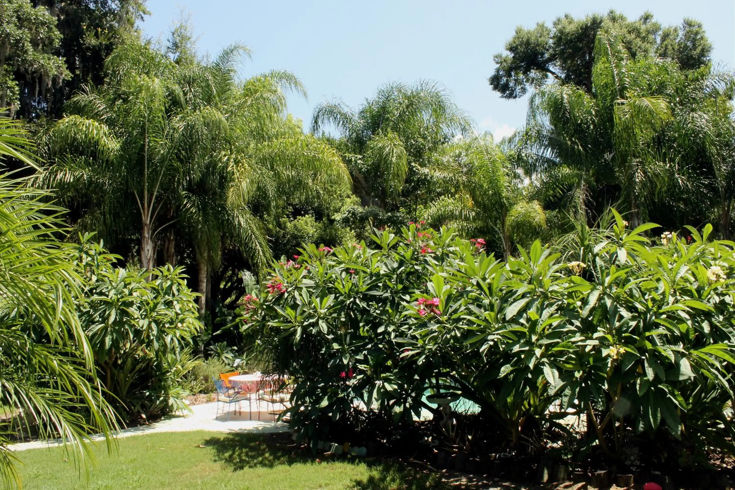 Garden in Heron Cay Lakeview Bed & Breakfast