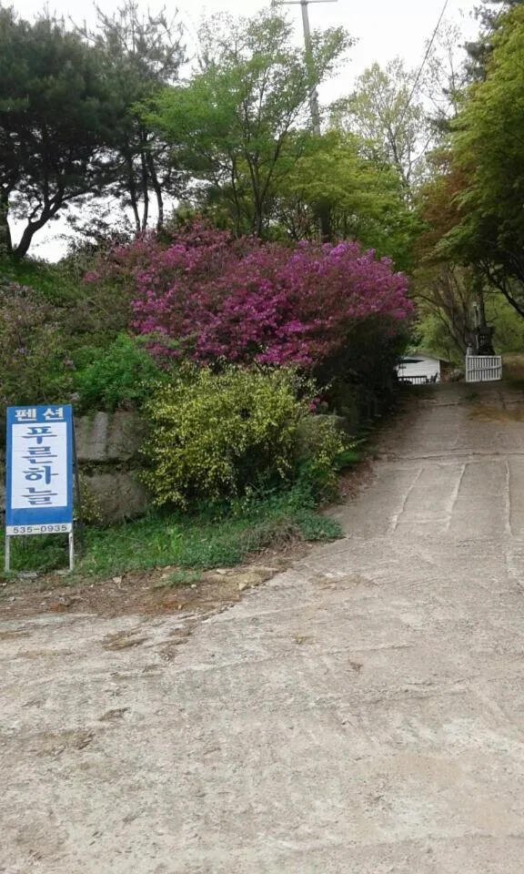 Property logo or sign in Bluesky Pension