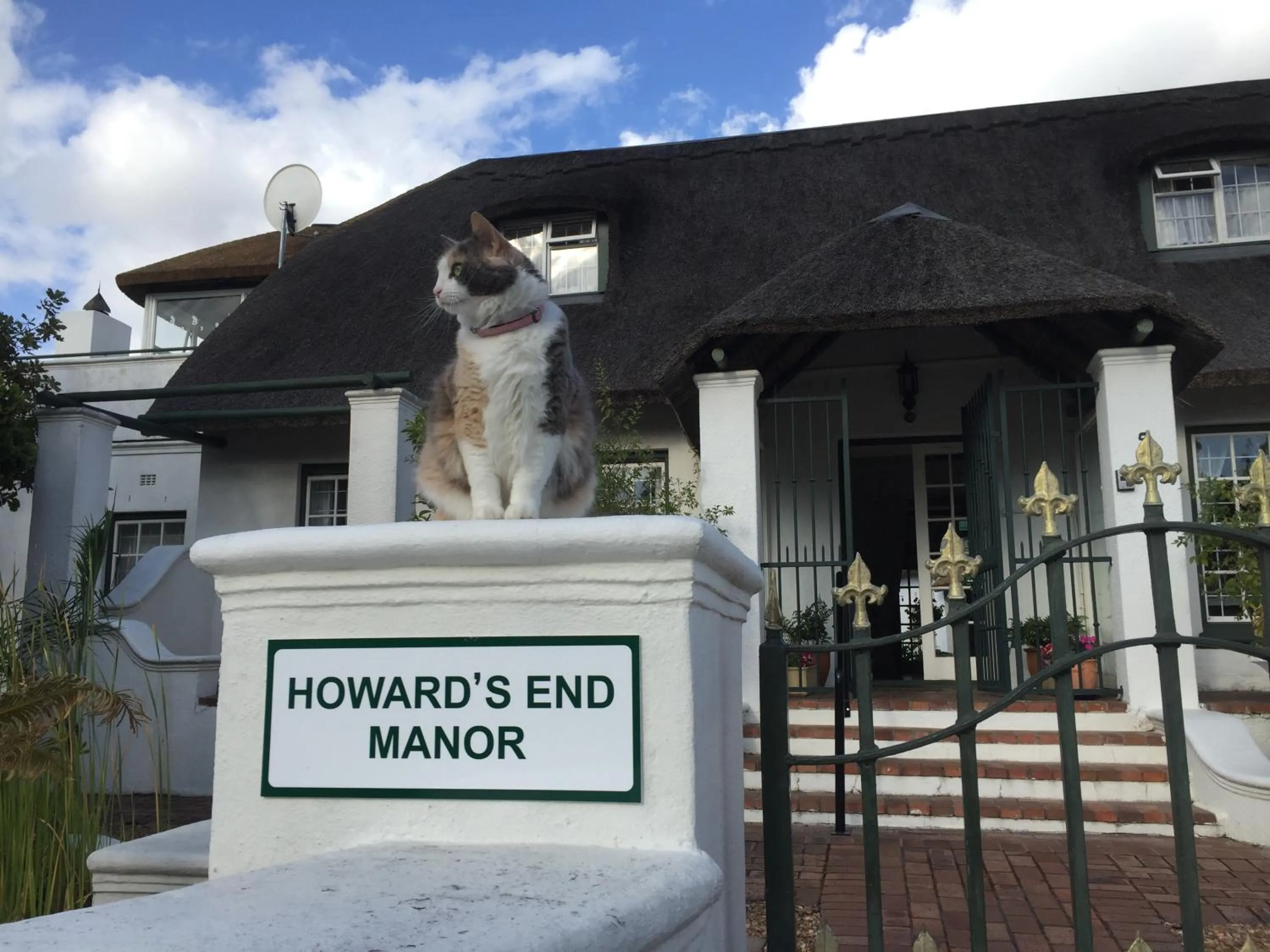Pets in Howards End Manor B&B