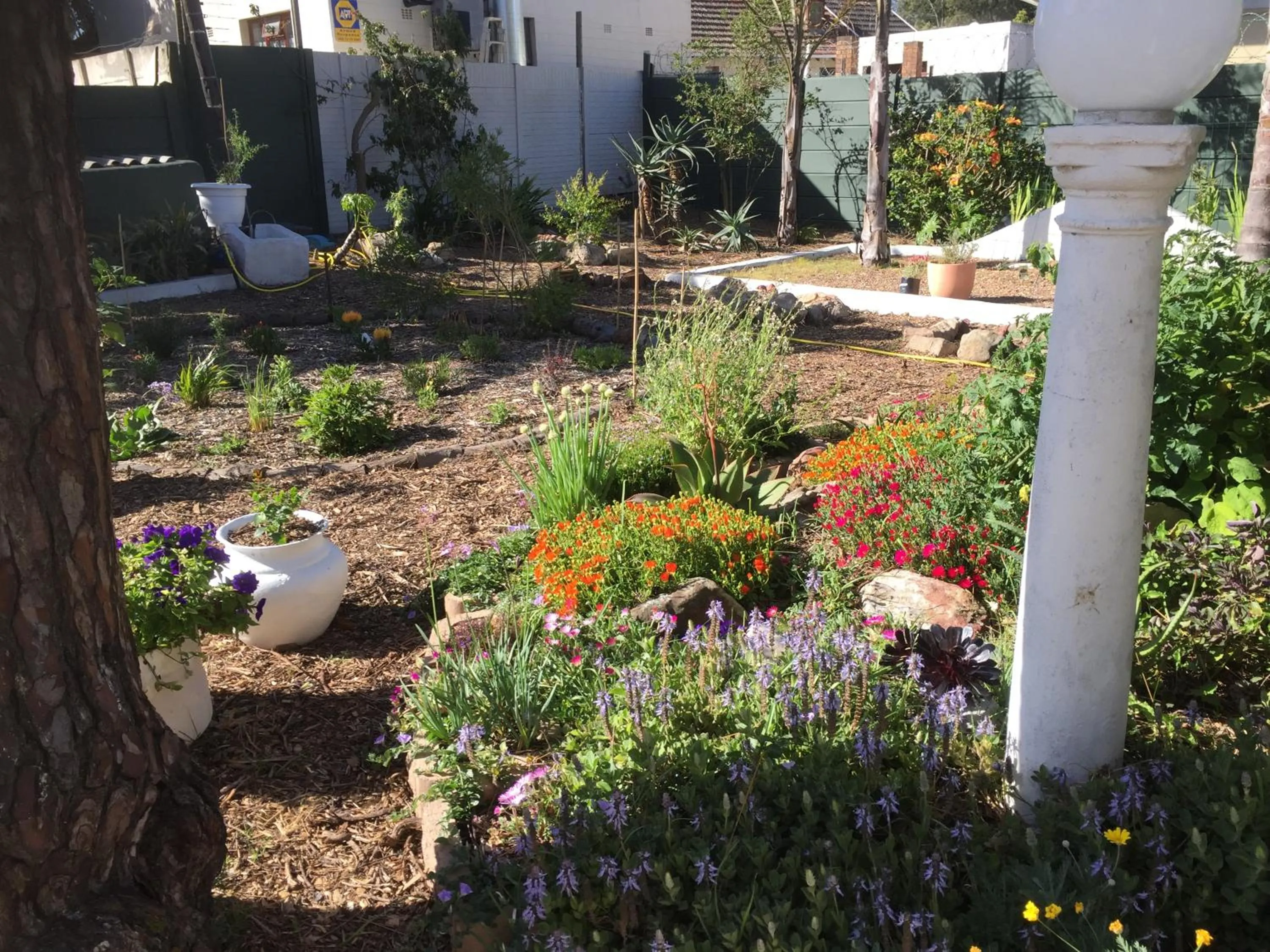 Property building in Howards End Manor B&B