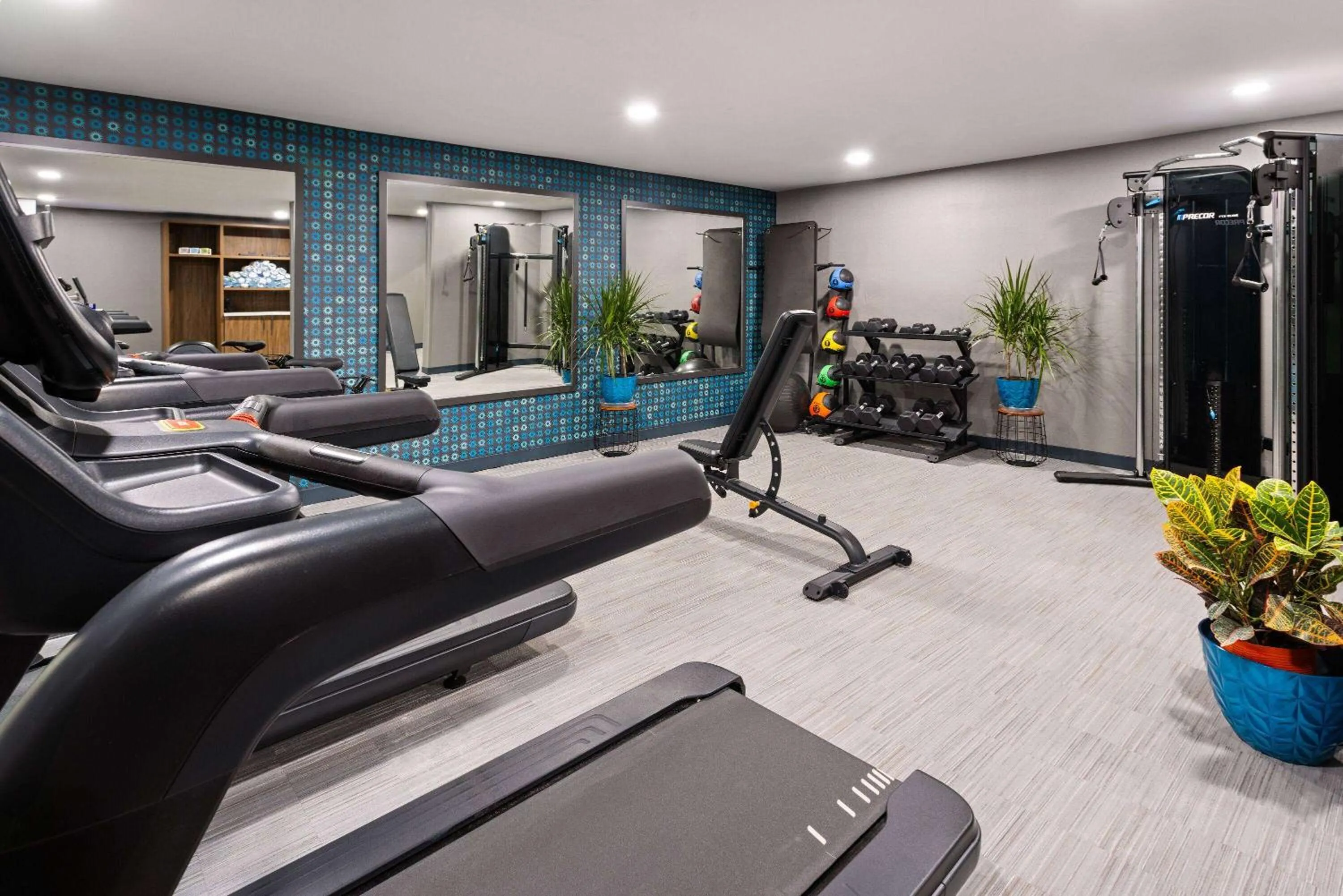Fitness centre/facilities in La Quinta Inn & Suites by Wyndham Memphis I-240