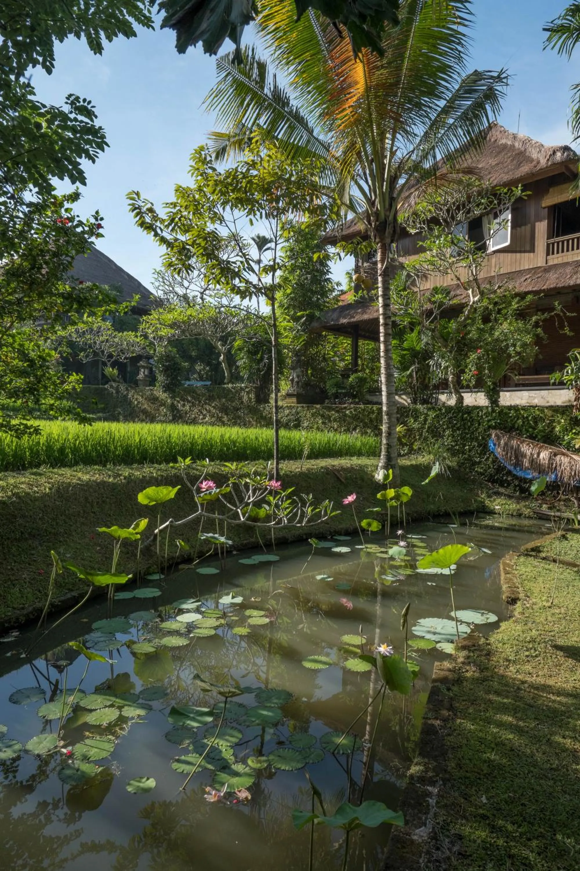 Garden in Ananda Ubud Resort