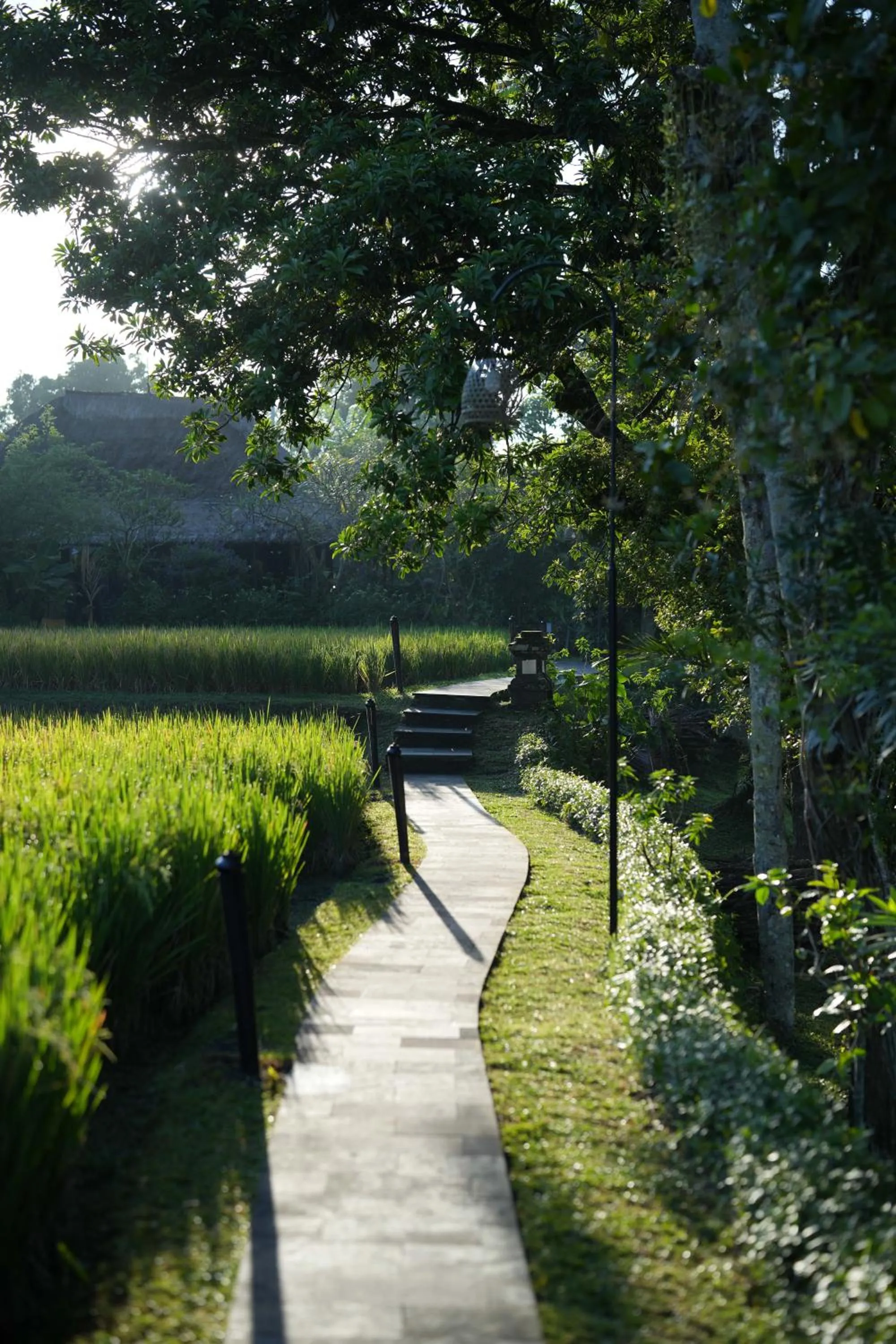 Garden in Ananda Ubud Resort