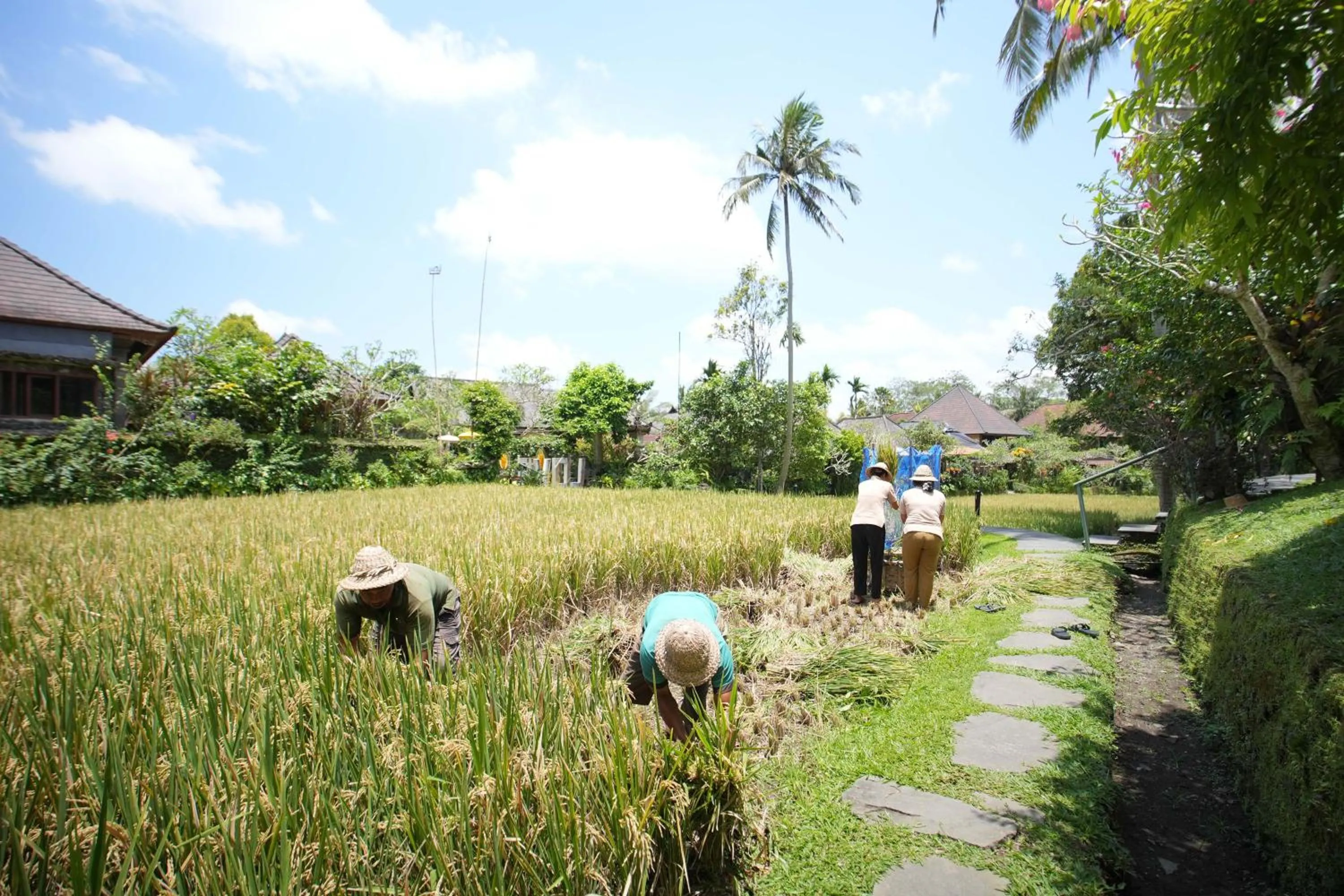 Activities in Ananda Ubud Resort