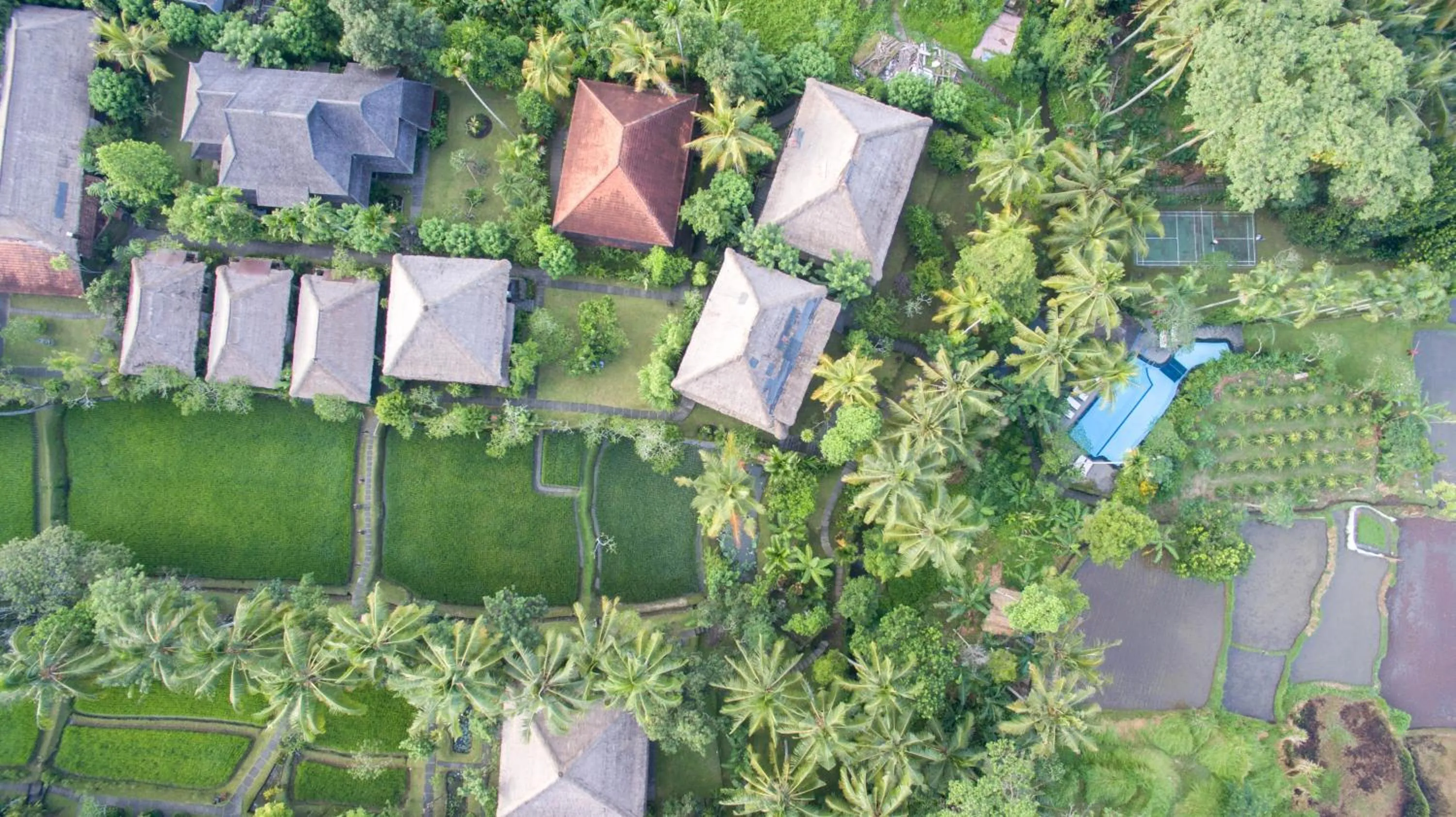 Garden in Ananda Ubud Resort