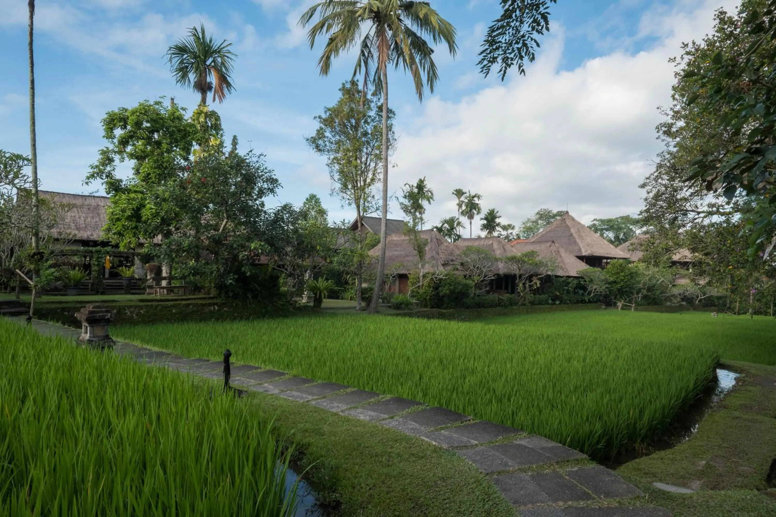 Garden in Ananda Ubud Resort