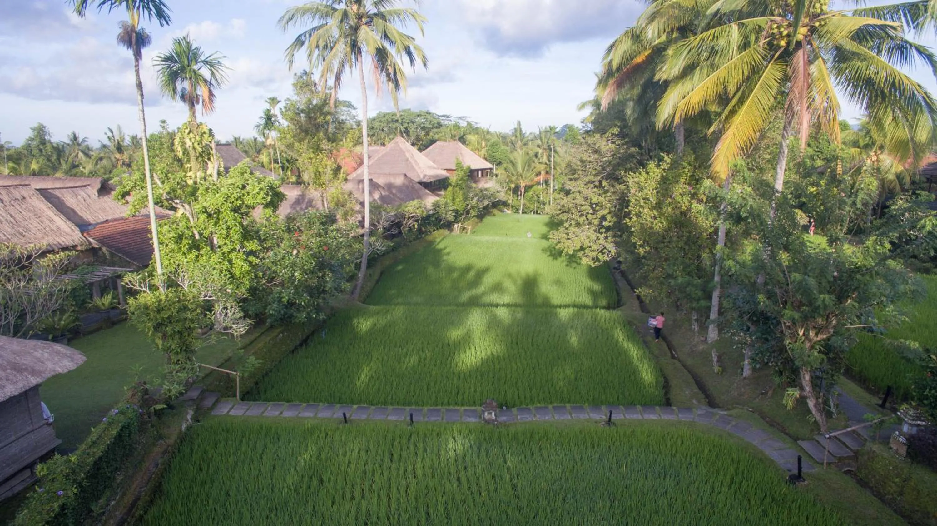 Garden in Ananda Ubud Resort