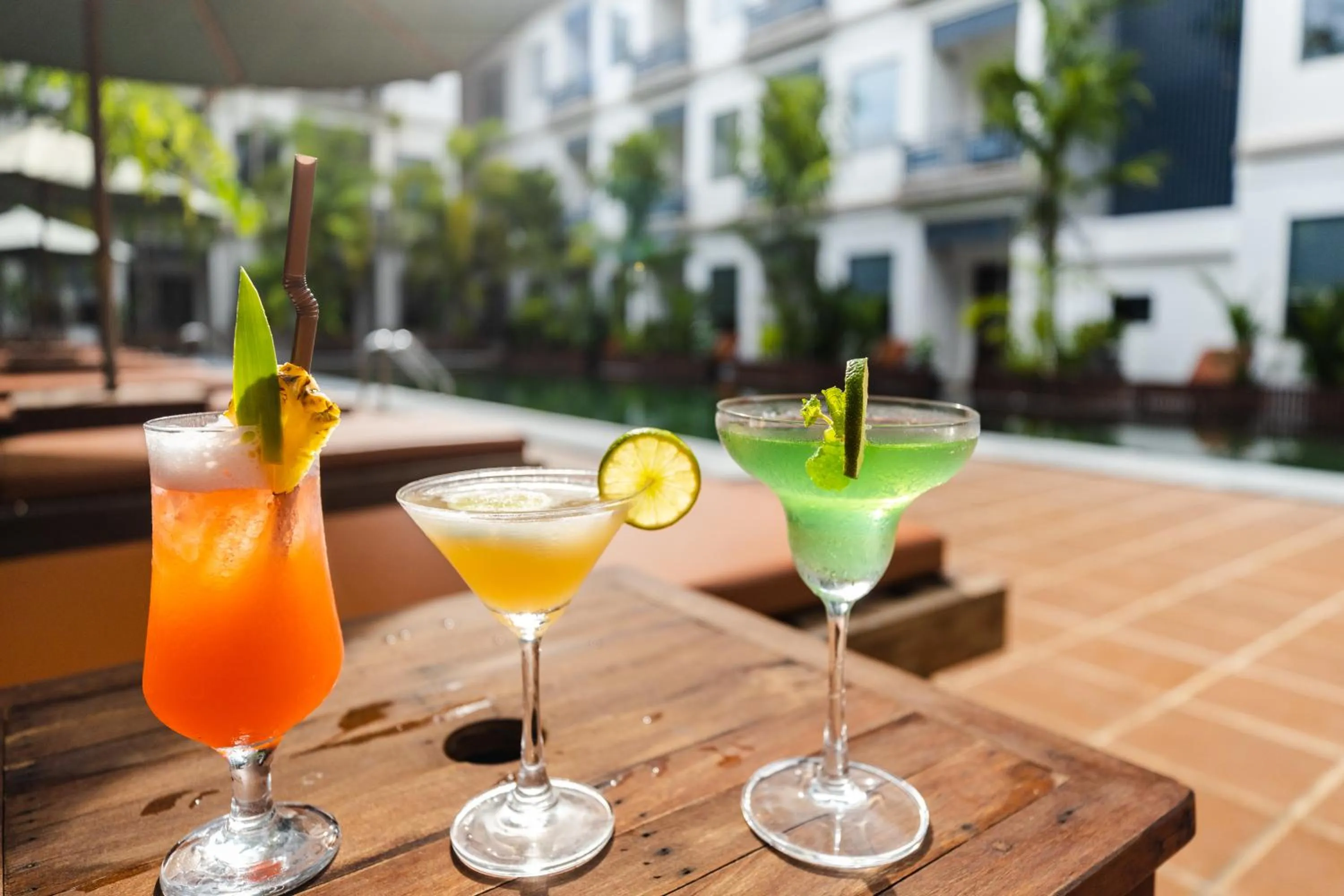 Lounge or bar in Green Amazon Residence